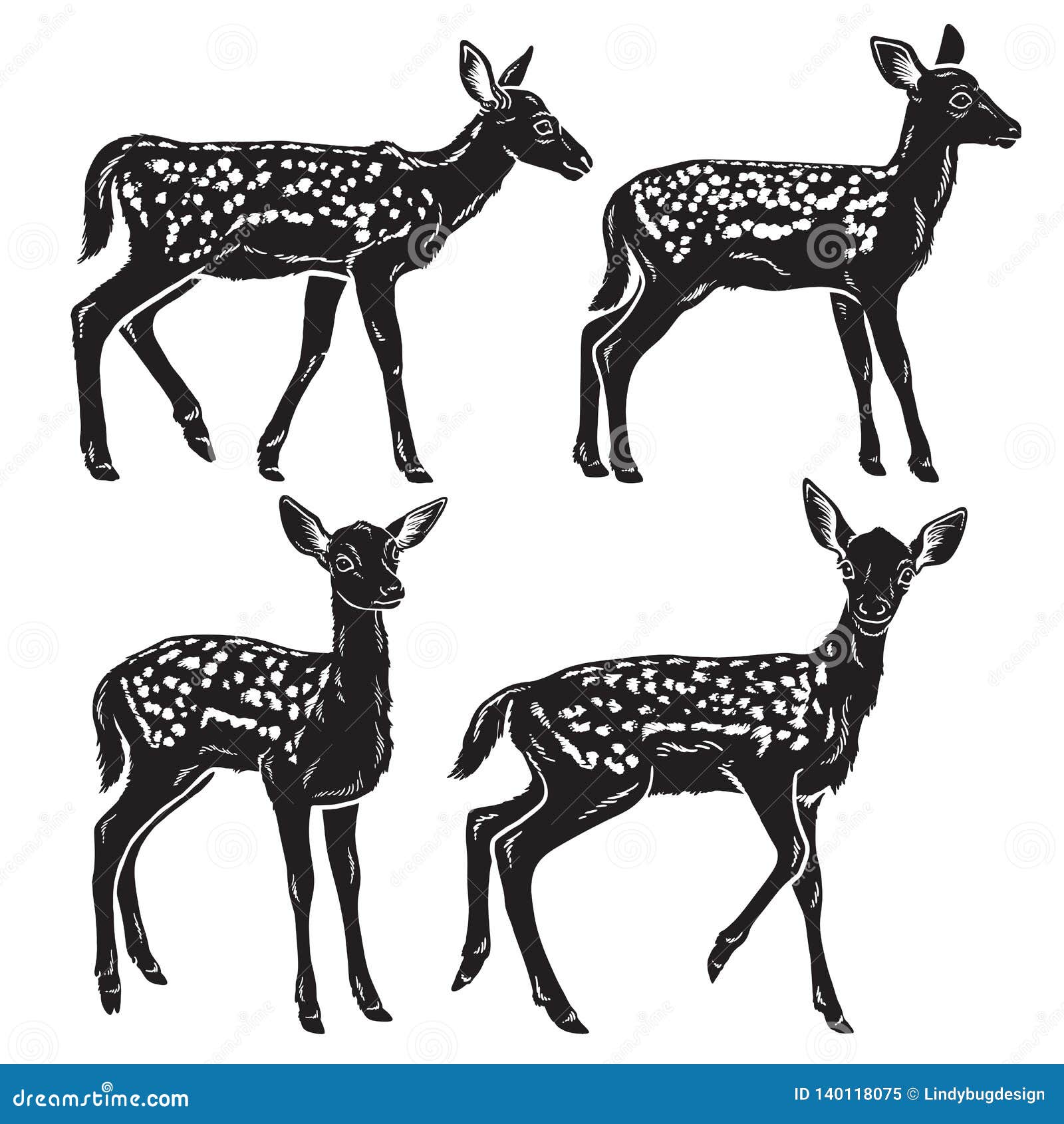 Download Black And White Detailed Silhouettes Of Young Baby Deer ...