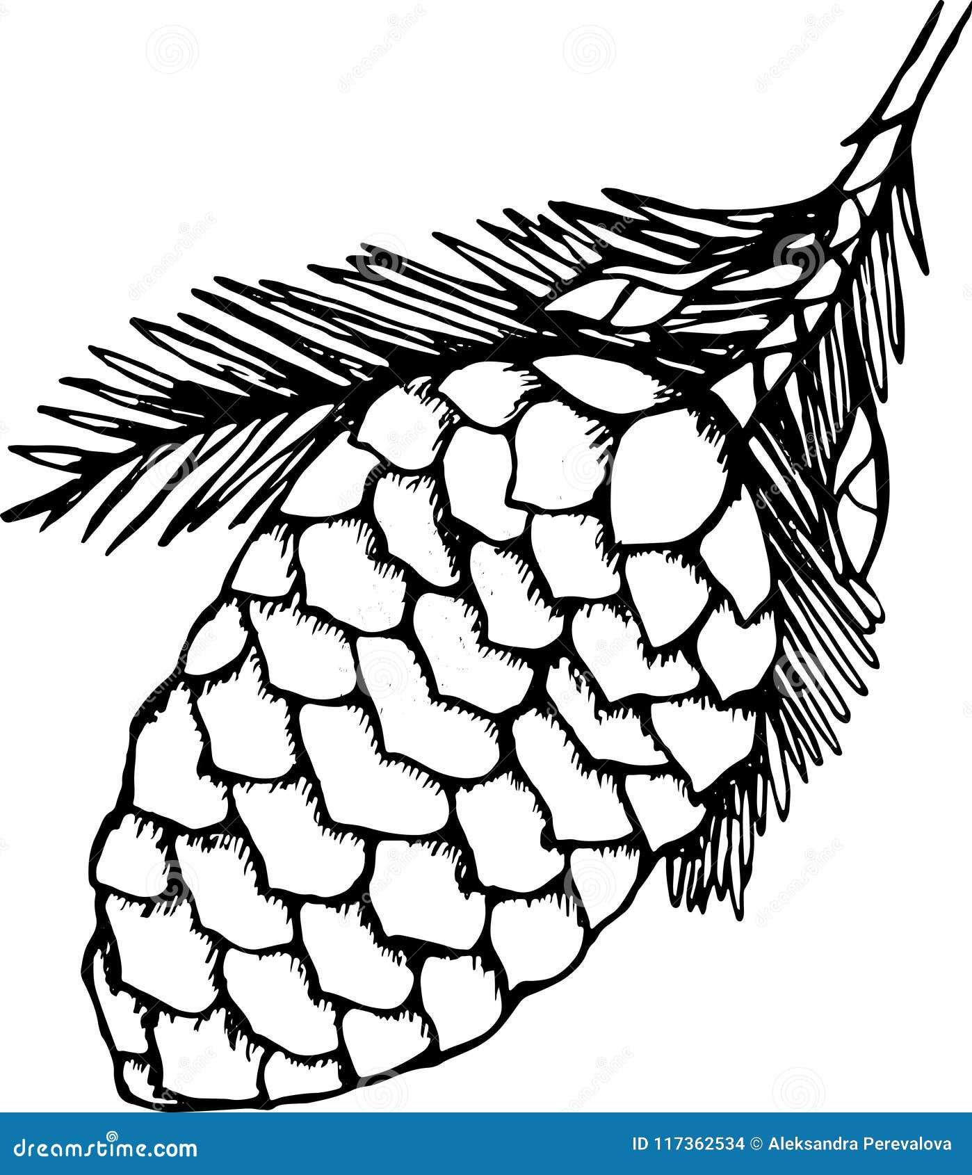 My Image 19