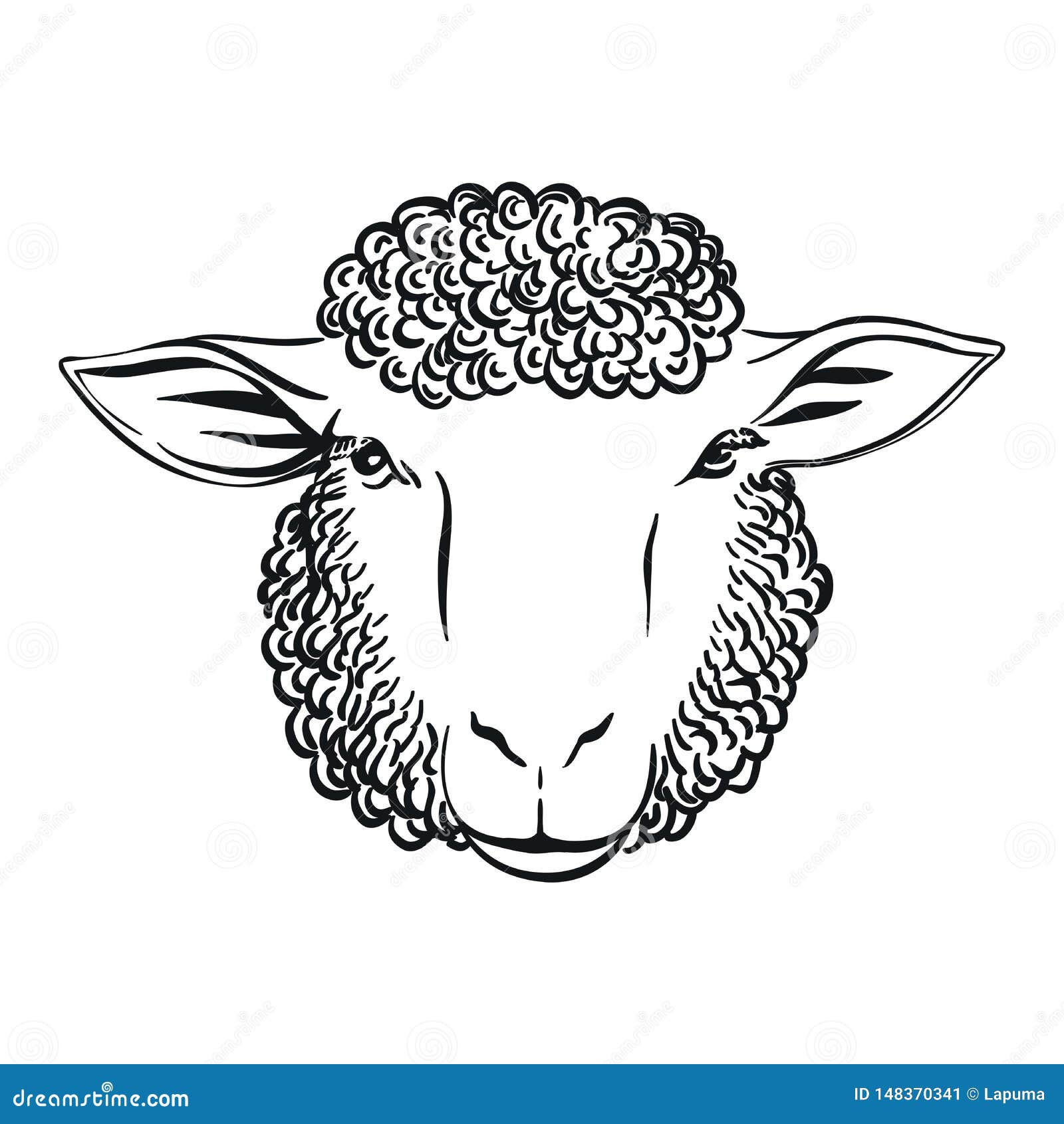 Black And White Drawing Of Sheep Head Full Face Stock