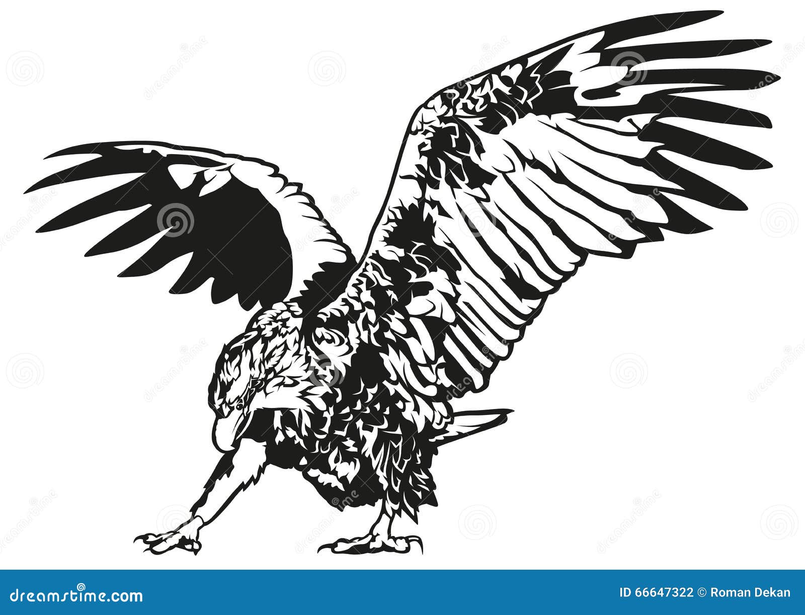 Black and White Eagle stock vector. Illustration of eagle 66647322
