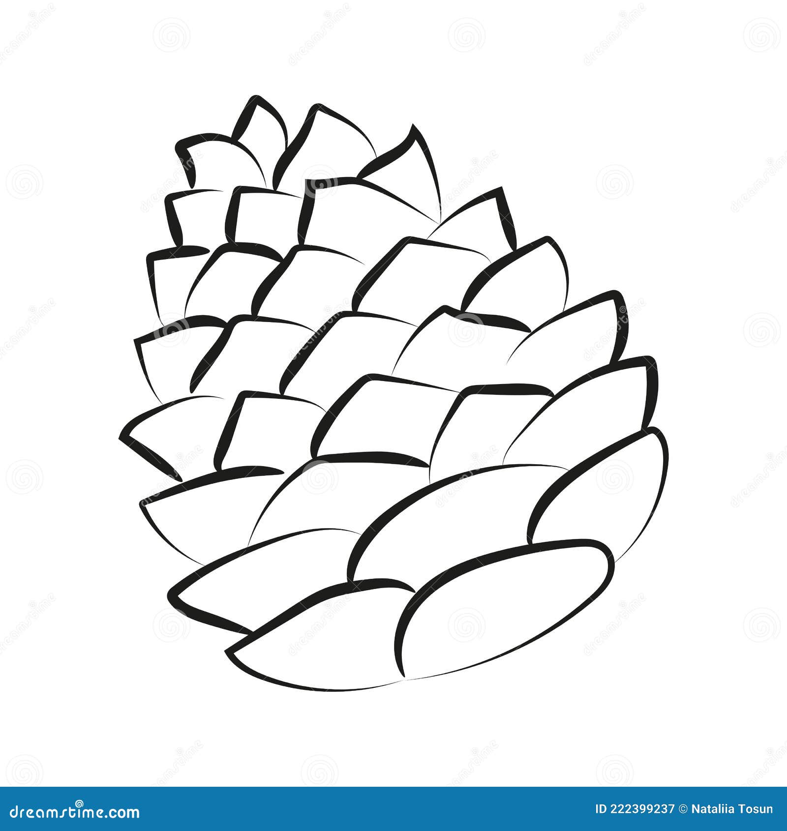 elegant outline drawing of pine cone.  .