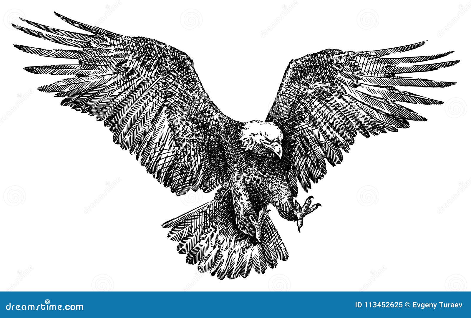 black and white engrave  eagle 