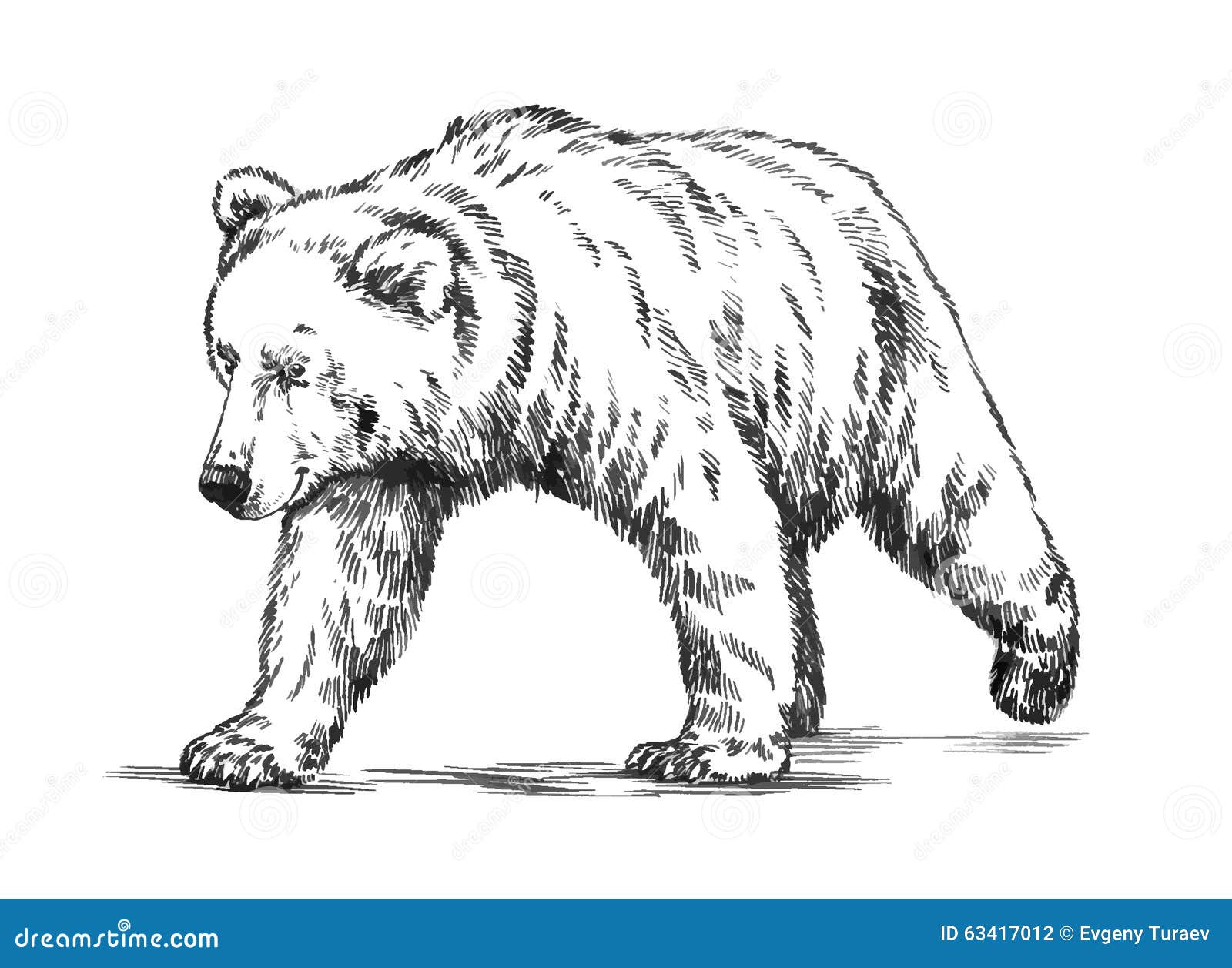 brown bear brown bear clipart black and white