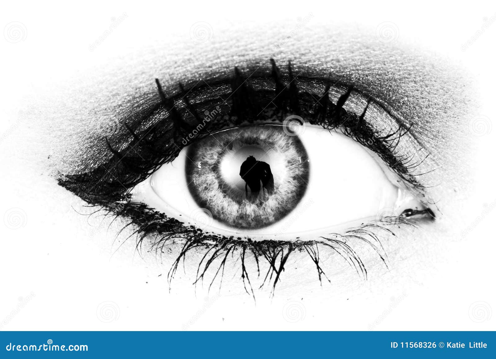 Black and white eye stock photo. Image of lady, eyelashes 11568326