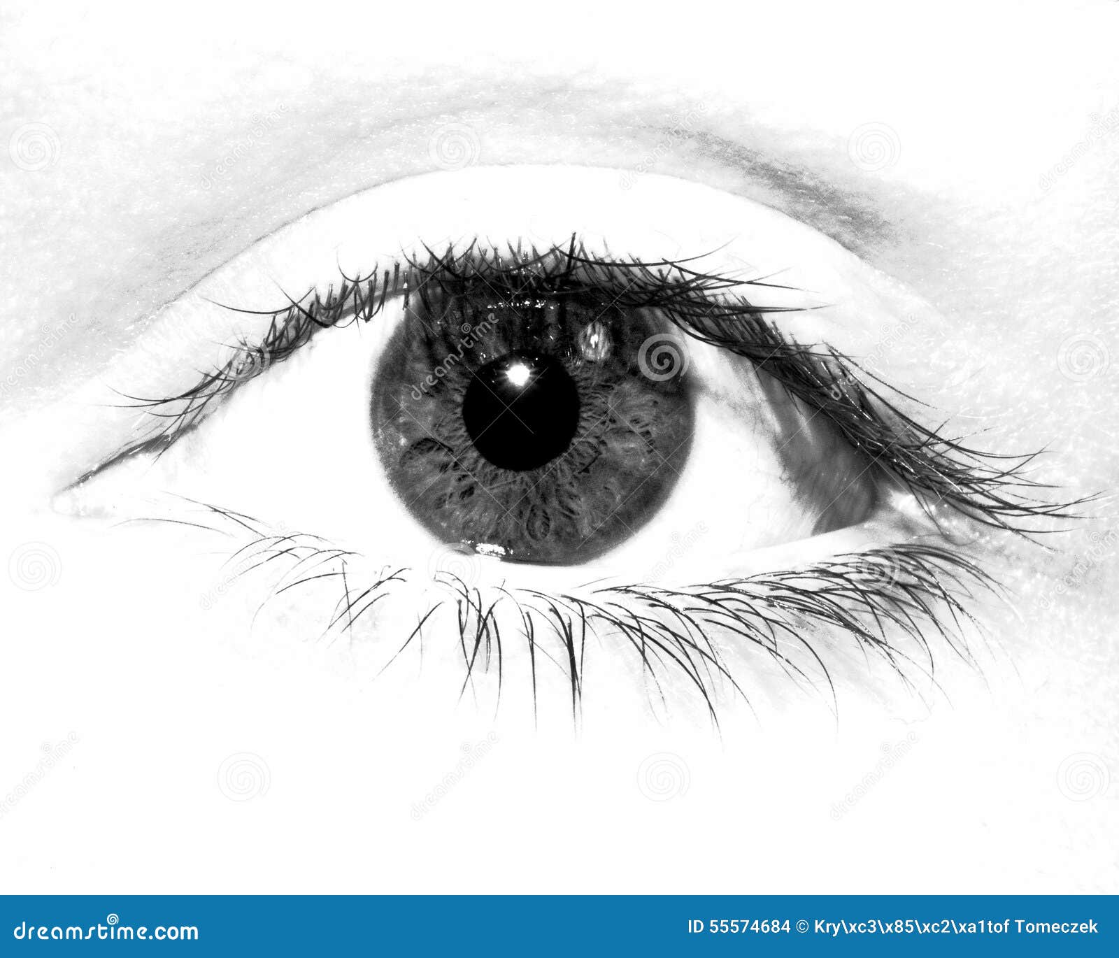 Black and White Eye stock photo. Image of white, closeup 55574684