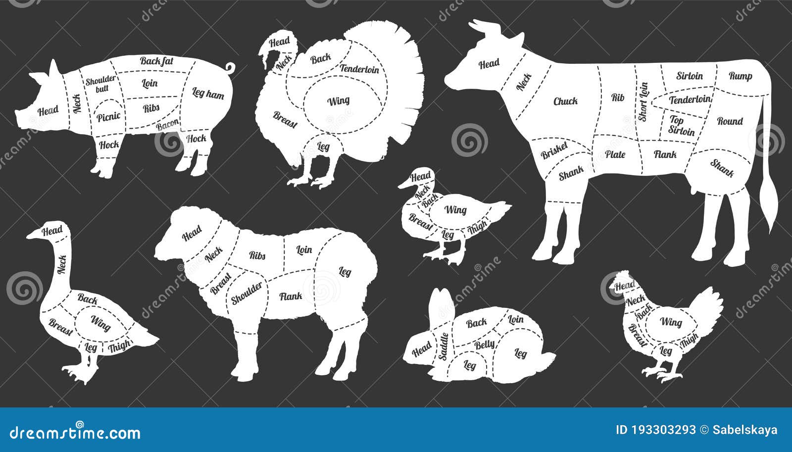 Black and White Farm Animal Meat Body Part Guide - Hand Drawn Animals Stock  Vector - Illustration of graphic, meat: 193303293