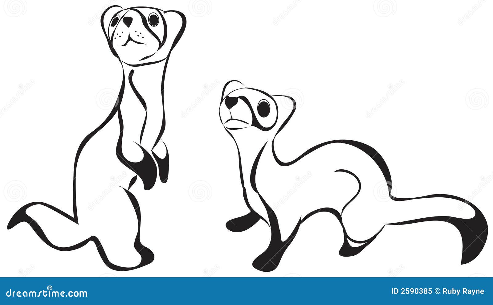 black & white ferret rendering