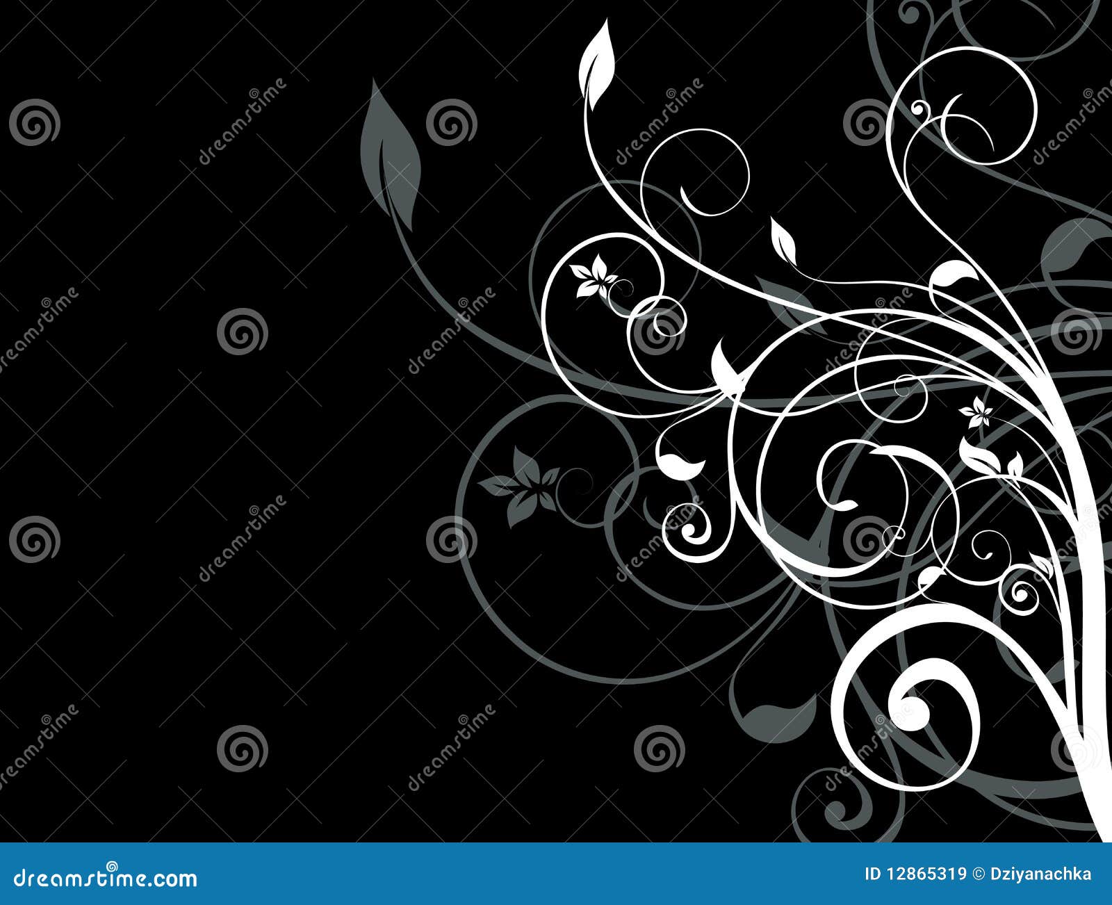 Black and White Floral Background Stock Vector Illustration of