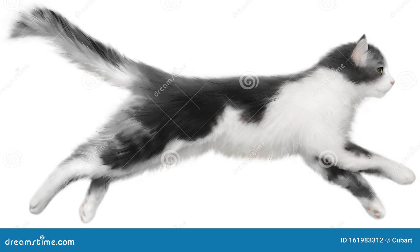 Gato blanco con manchas negras