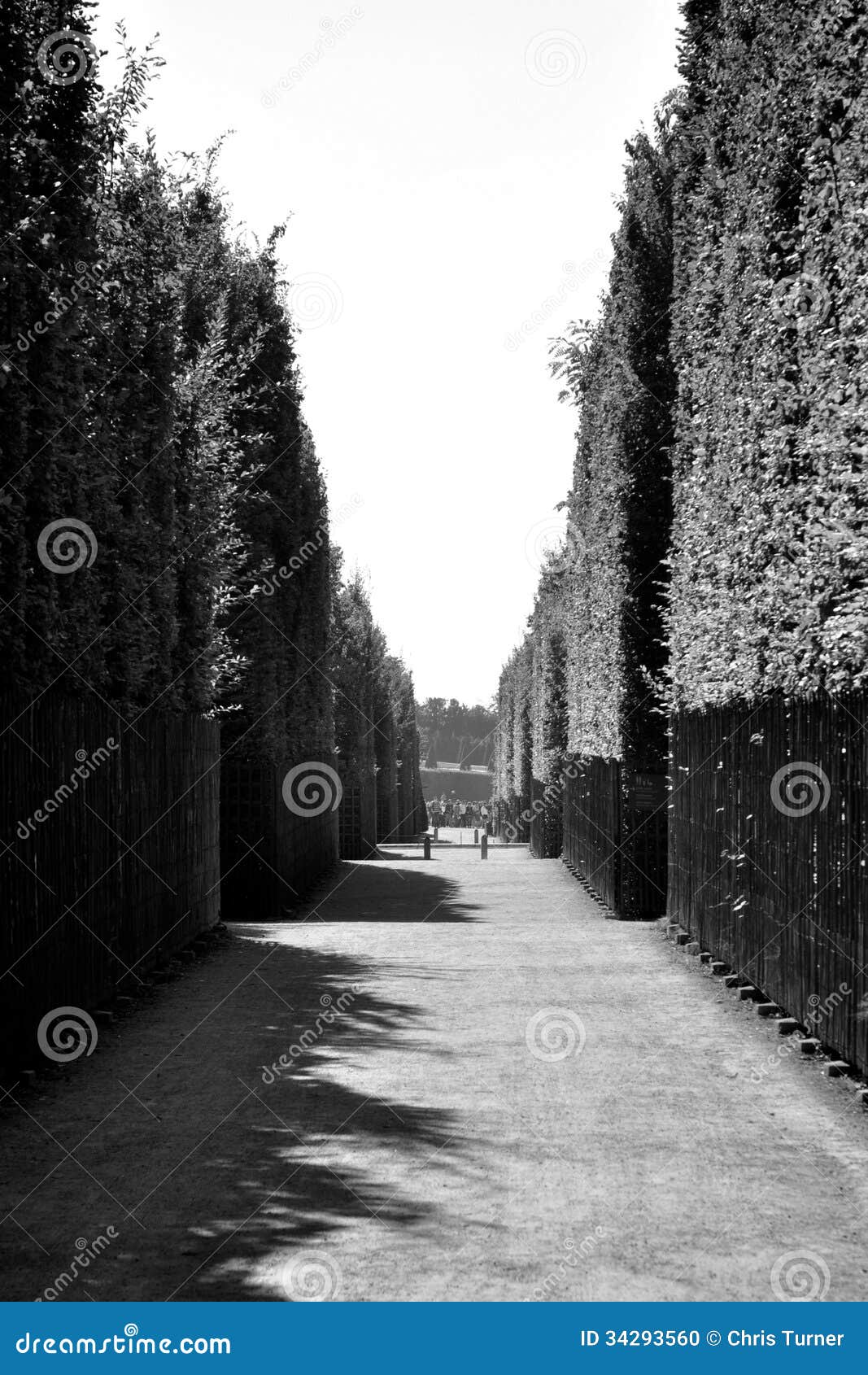 Black and White Gardens of Versaille Editorial Image Image of