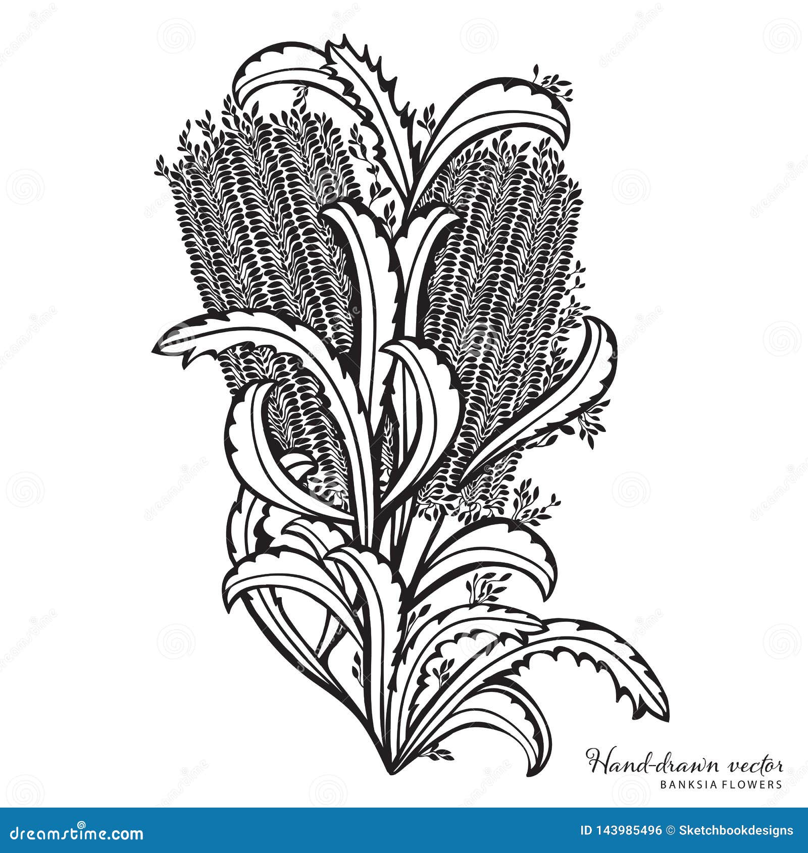black and white hand drawn banksia floral arrangement