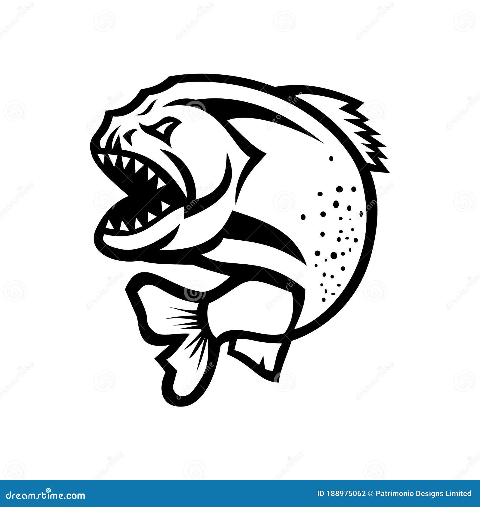 angry piranha jumping up  black and white