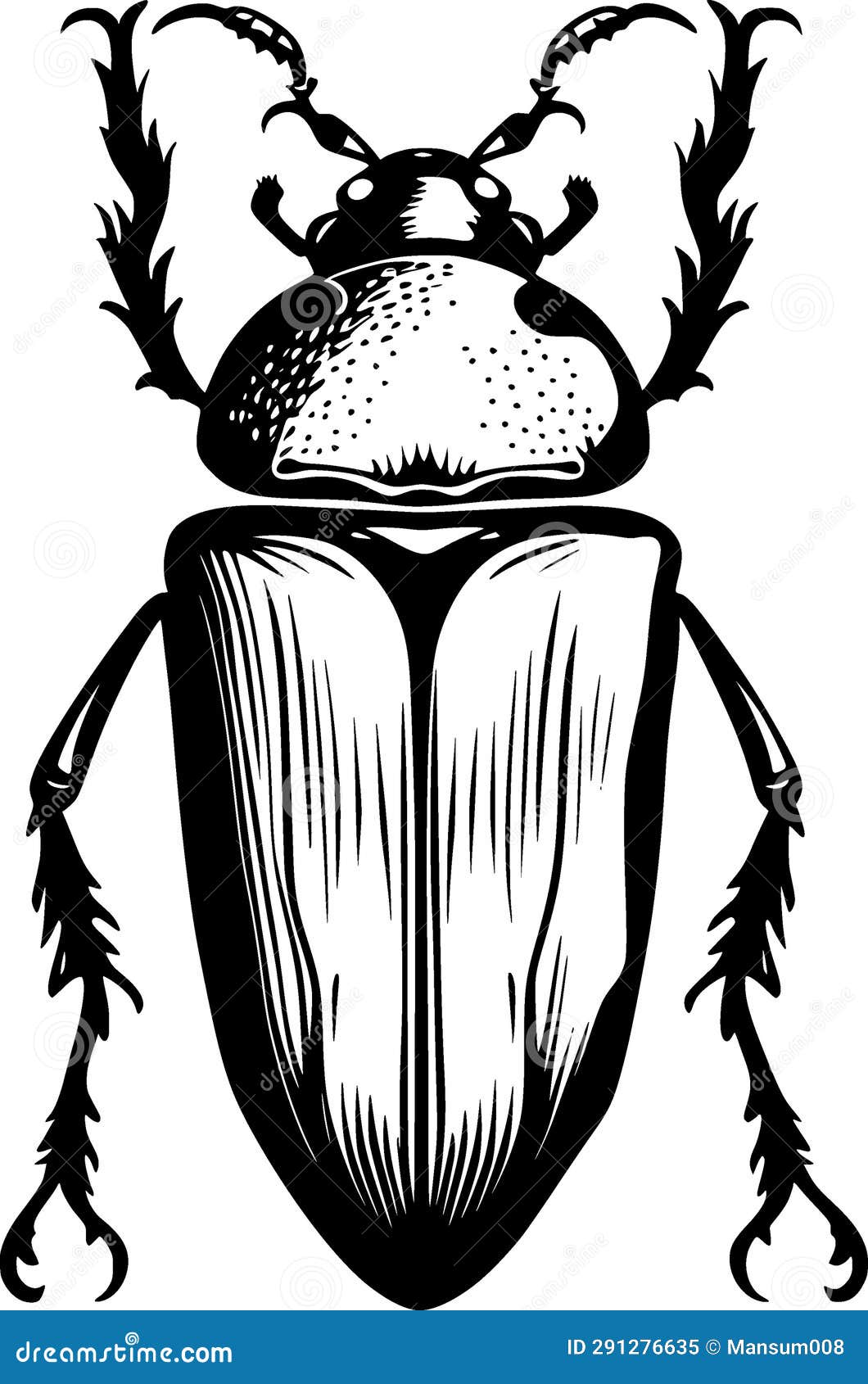 Black and White Illustration of Beetle Cartoon Stock Illustration ...