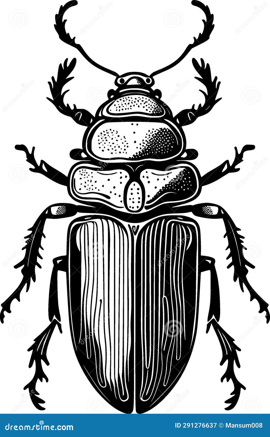 Black and White Illustration of Beetle Cartoon Stock Illustration ...