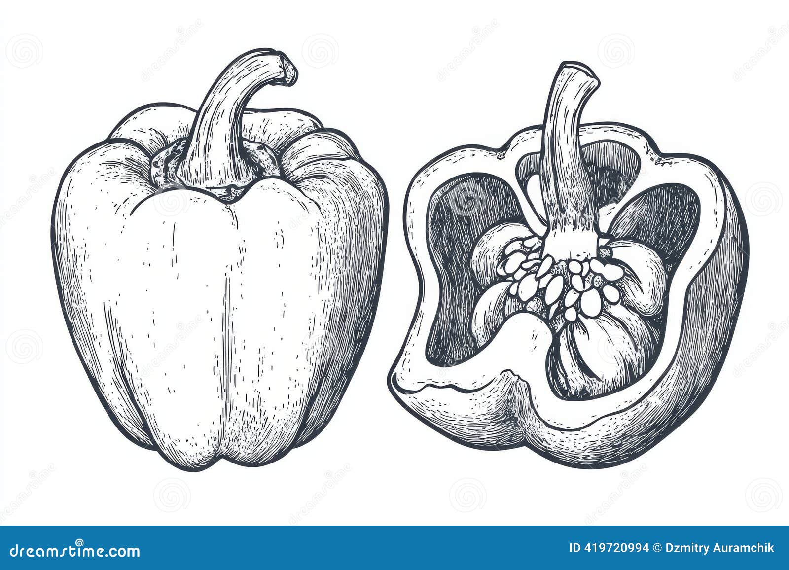 Black and White Illustration of a Bell Pepper in Image Format with a  Transparent Background. Stock Photo - Image of monochrome, plant: 419720994, image size:1600x1156