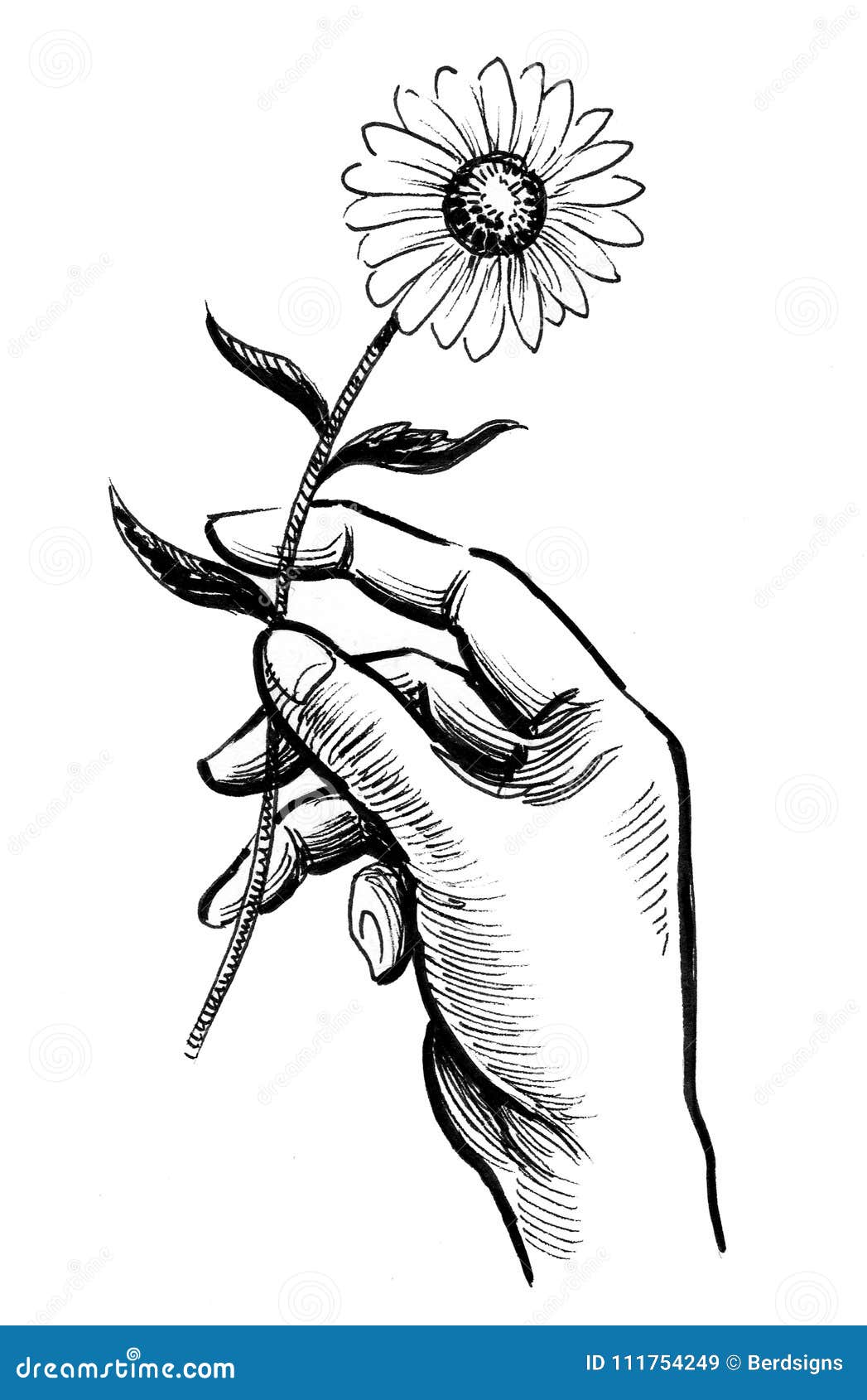 Featured image of post Hand Holding Flower Drawing Eye drawing tumblr aesthetic free transparent png download pngkey