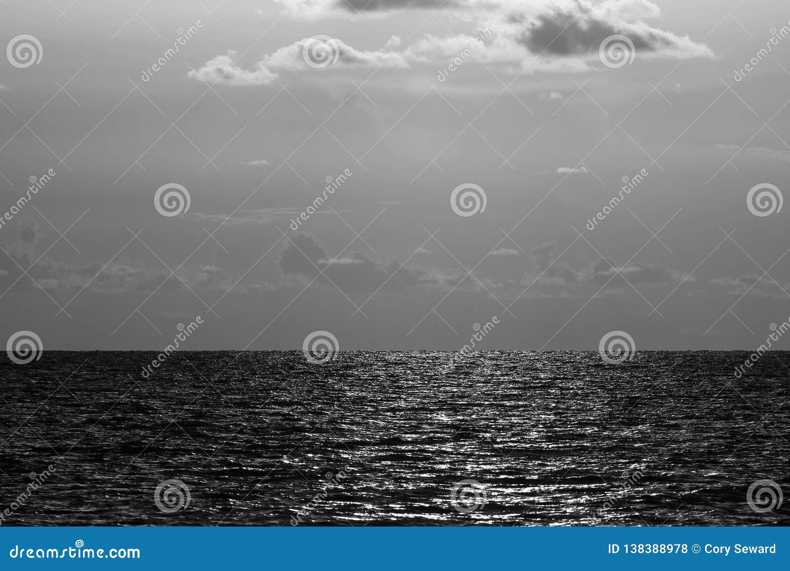 Black and White Image of the Beautiful Gulf Coast on the Boarder of
