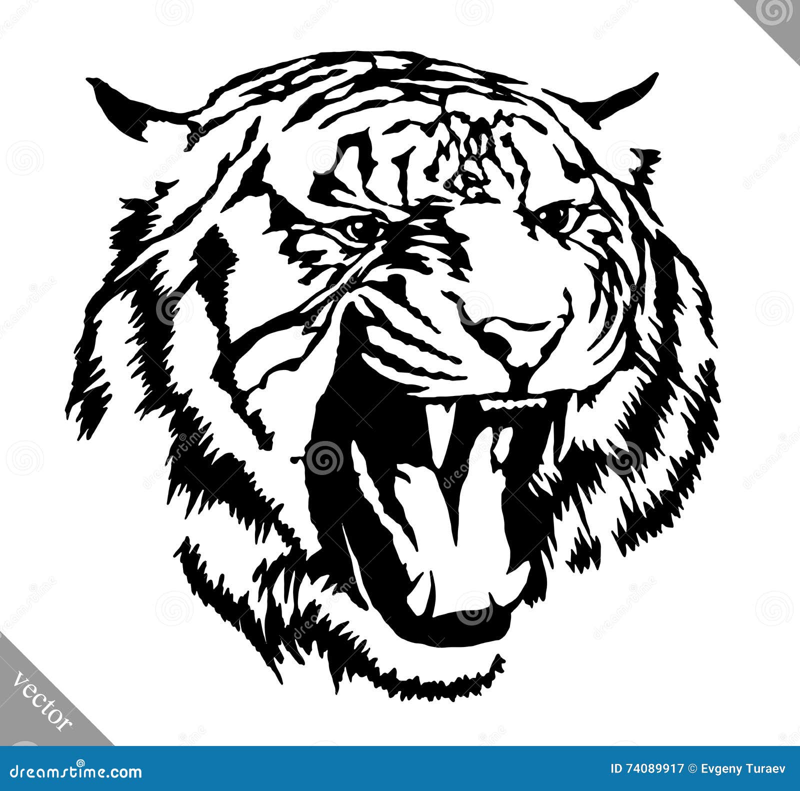 Black and White Ink Draw Tiger Vector Illustration Stock