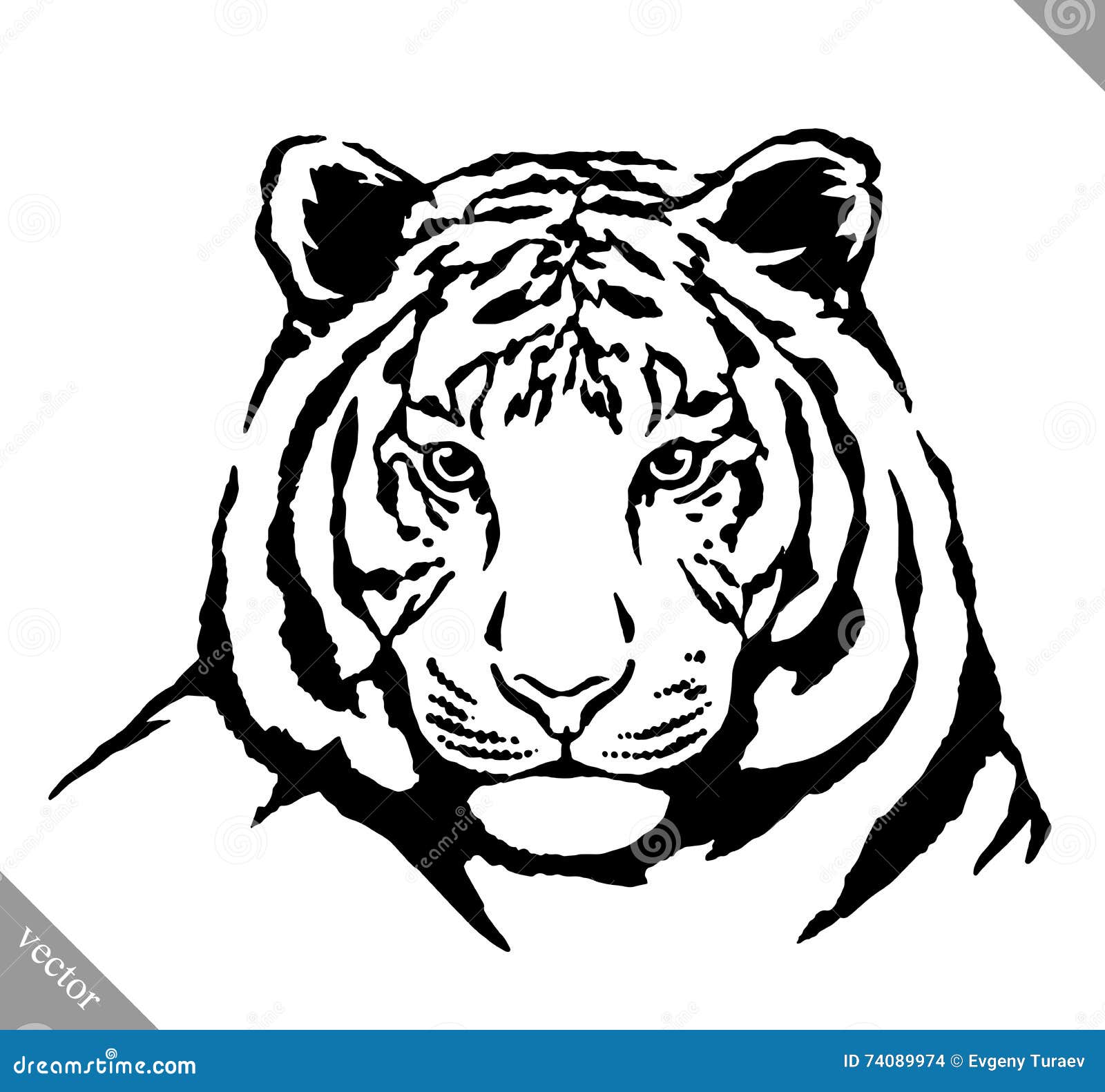 Free Black And White Tiger Drawing Download Free Black And White Tiger  Drawing png images Free ClipArts on Clipart Library
