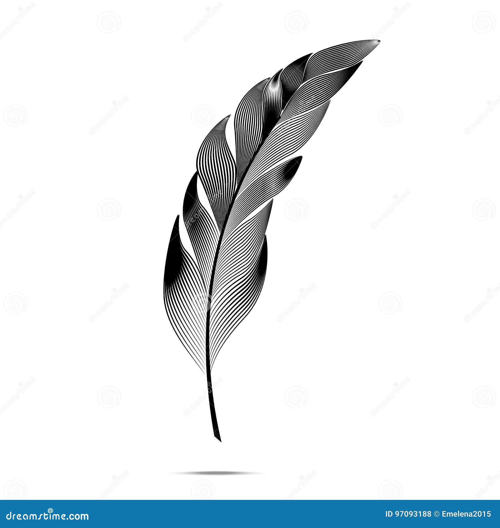 A large black and white feather with patterns Vector Image