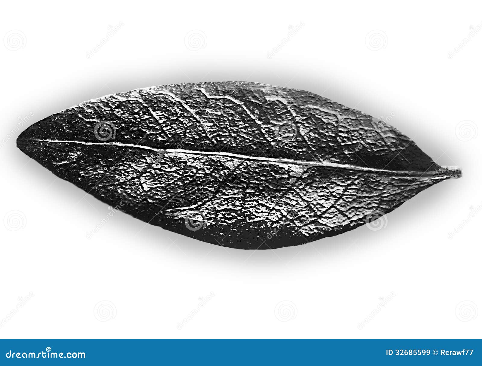 Black and White Leaf stock illustration. Illustration of white - 32685599