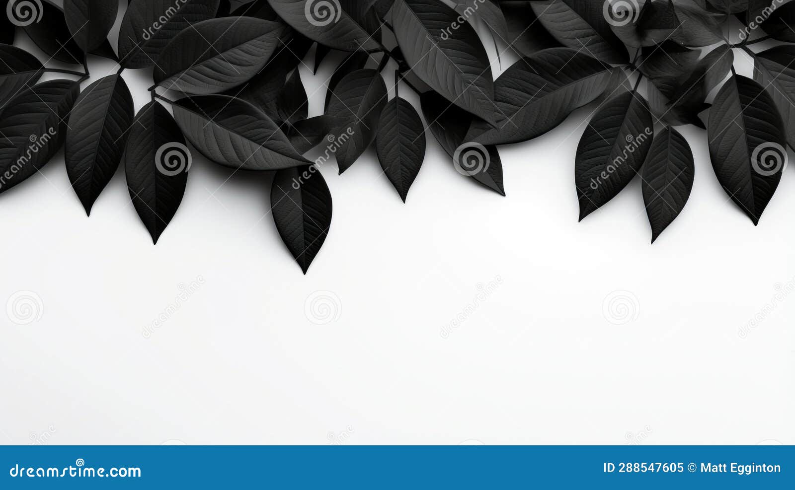 Black and White Leaves on a White Background Stock Illustration