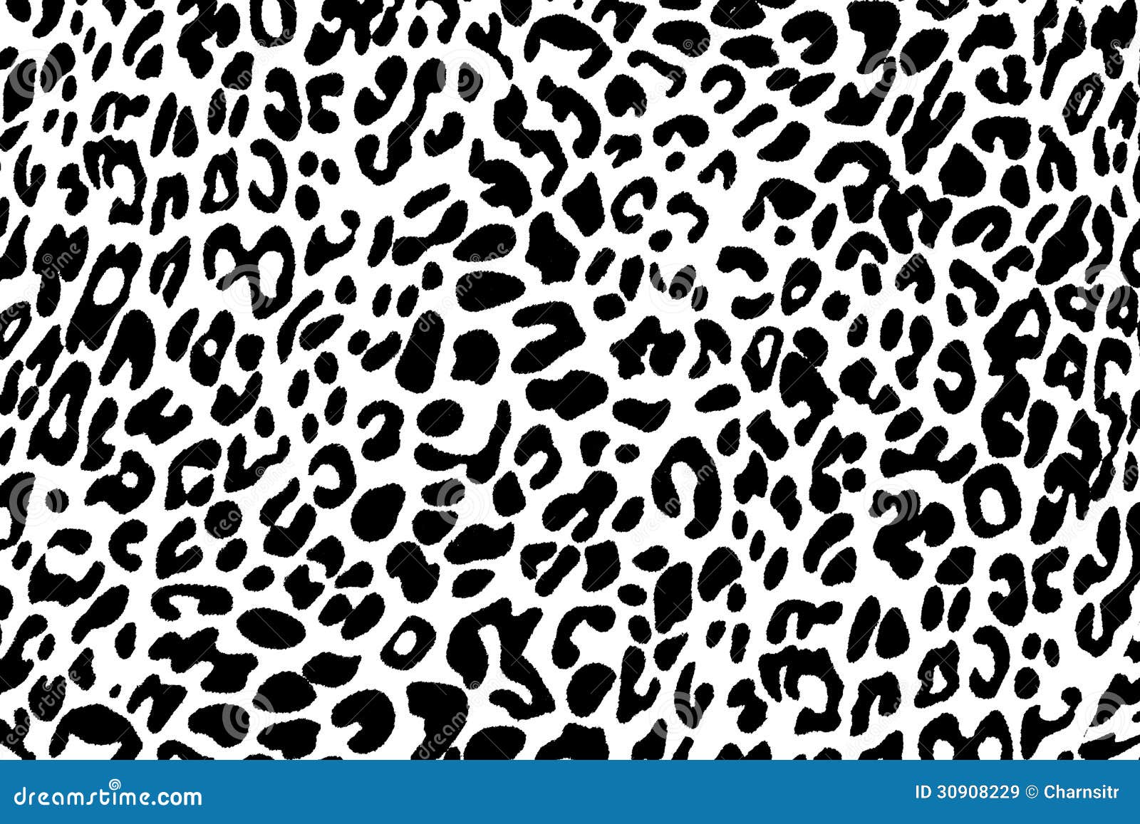 Black and White Leopard Skin Pattern Stock Illustration - Illustration of  decoration, leather: 30908229