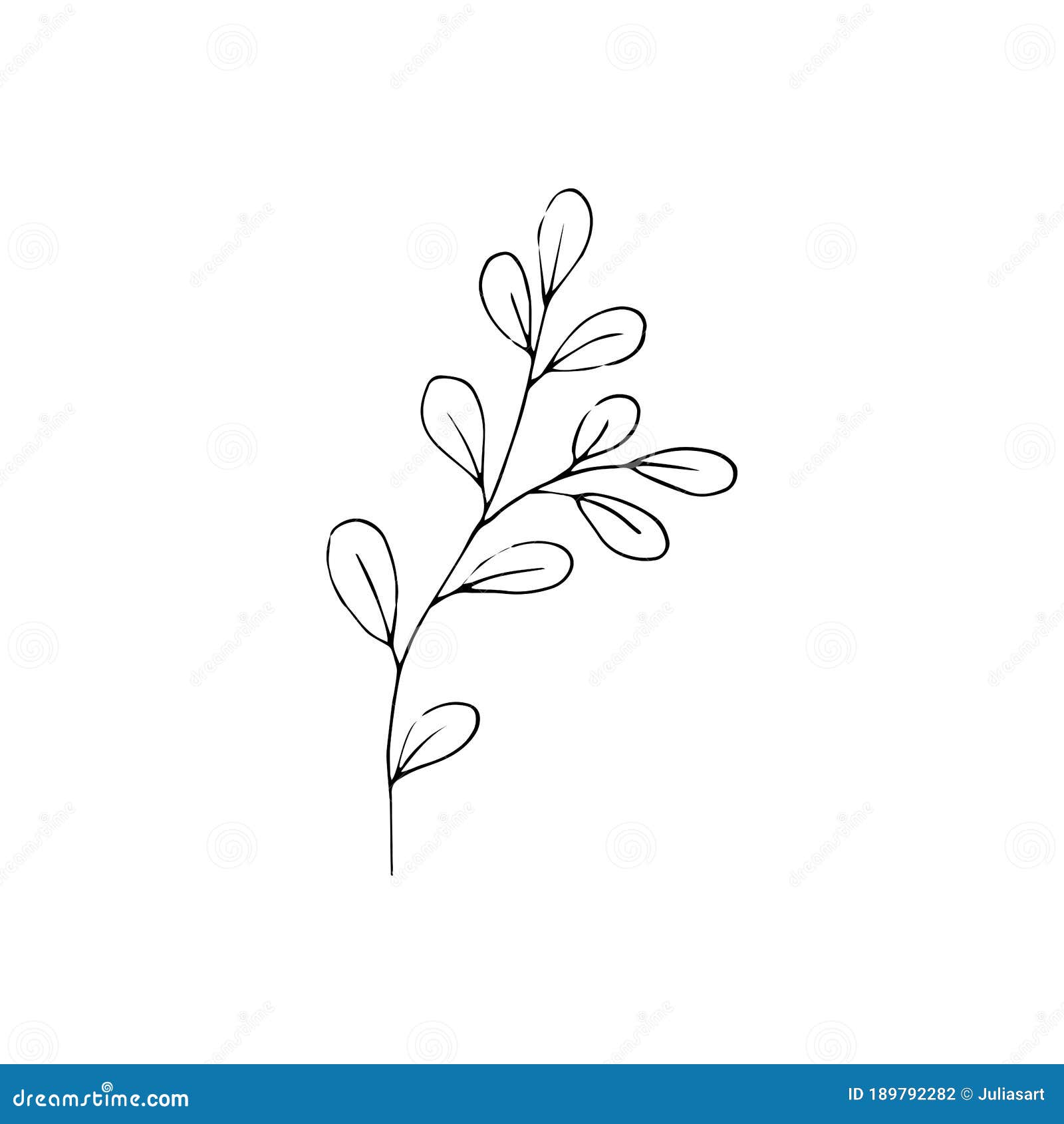 Black and White Line Art Decoration of Leaves. Vector Isolated ...