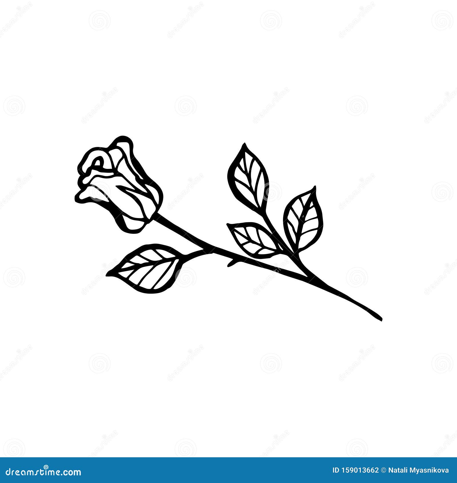 Black and White Line Drawing of Rose Flower Tattoo Design Sketch Stock  Vector  Illustration of icon artwork 159060402