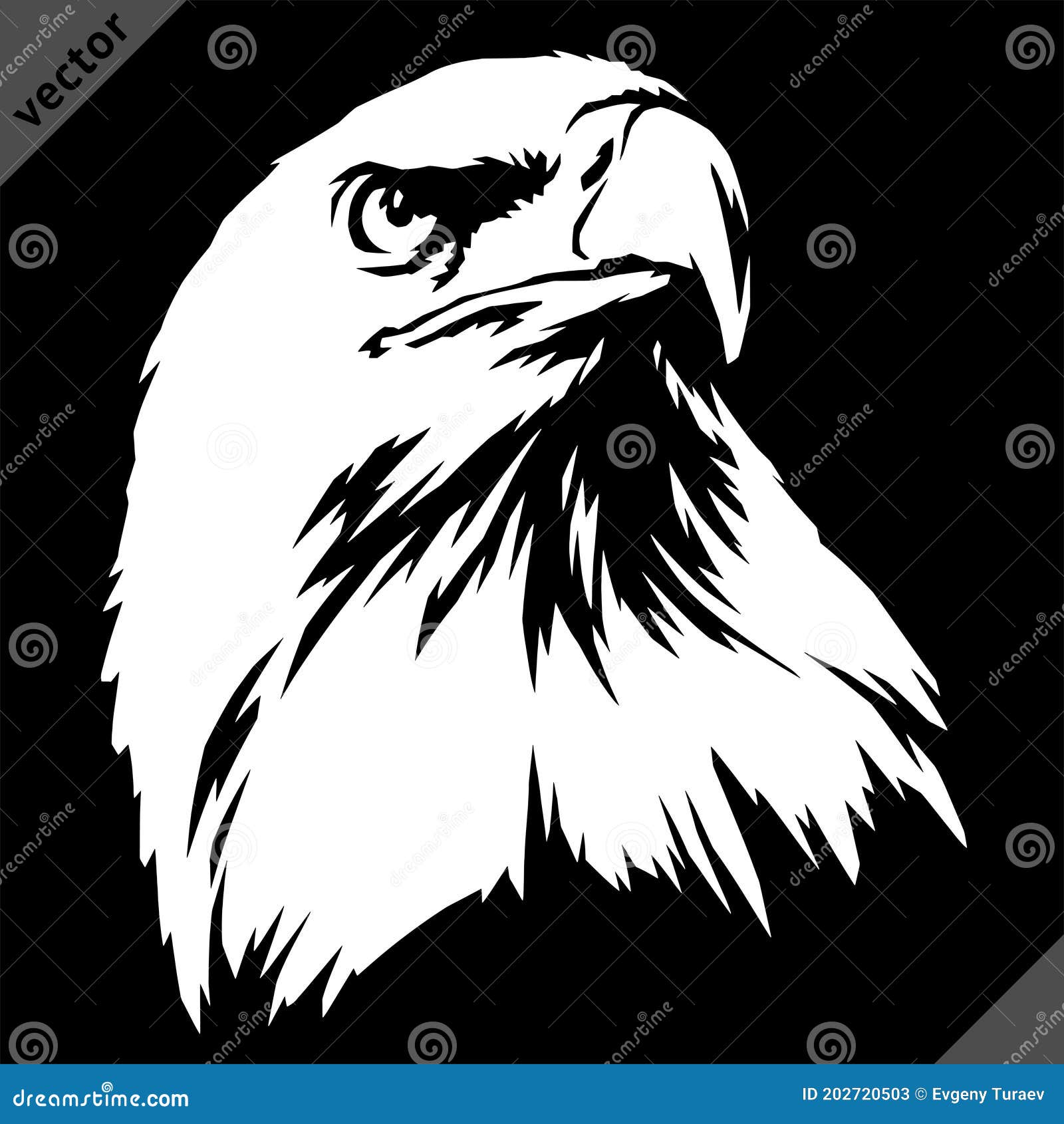 Black and White Linear Paint Draw Eagle Vector Illustration Art Stock