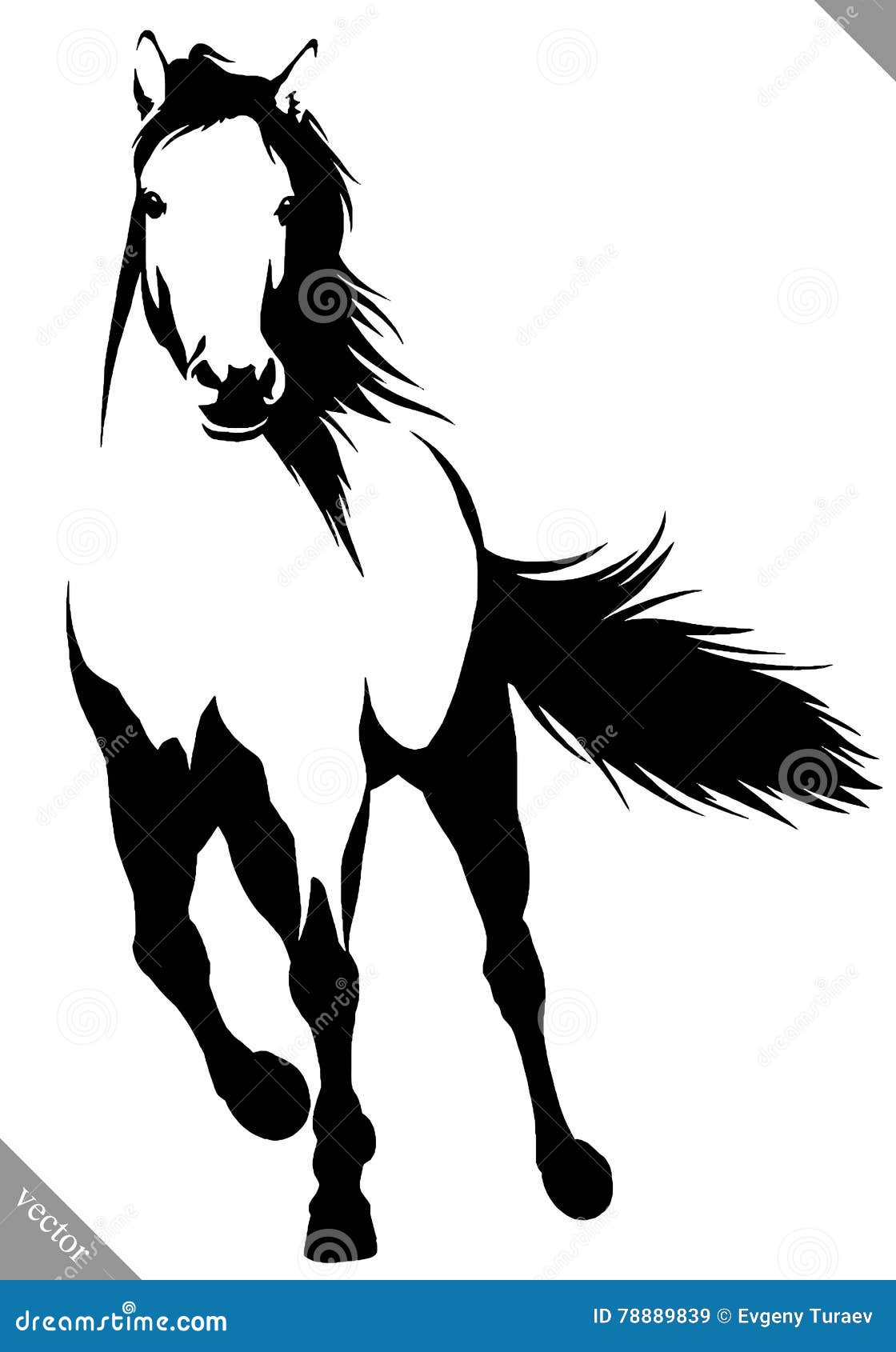Black and White Linear Paint Draw Horse Vector Illustration Stock