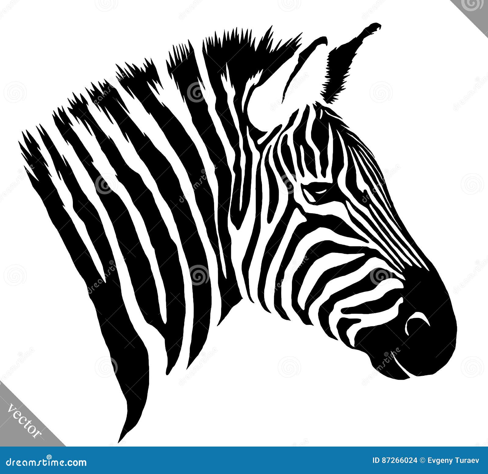 Black and White Linear Paint Draw Zebra Vector Illustration Stock