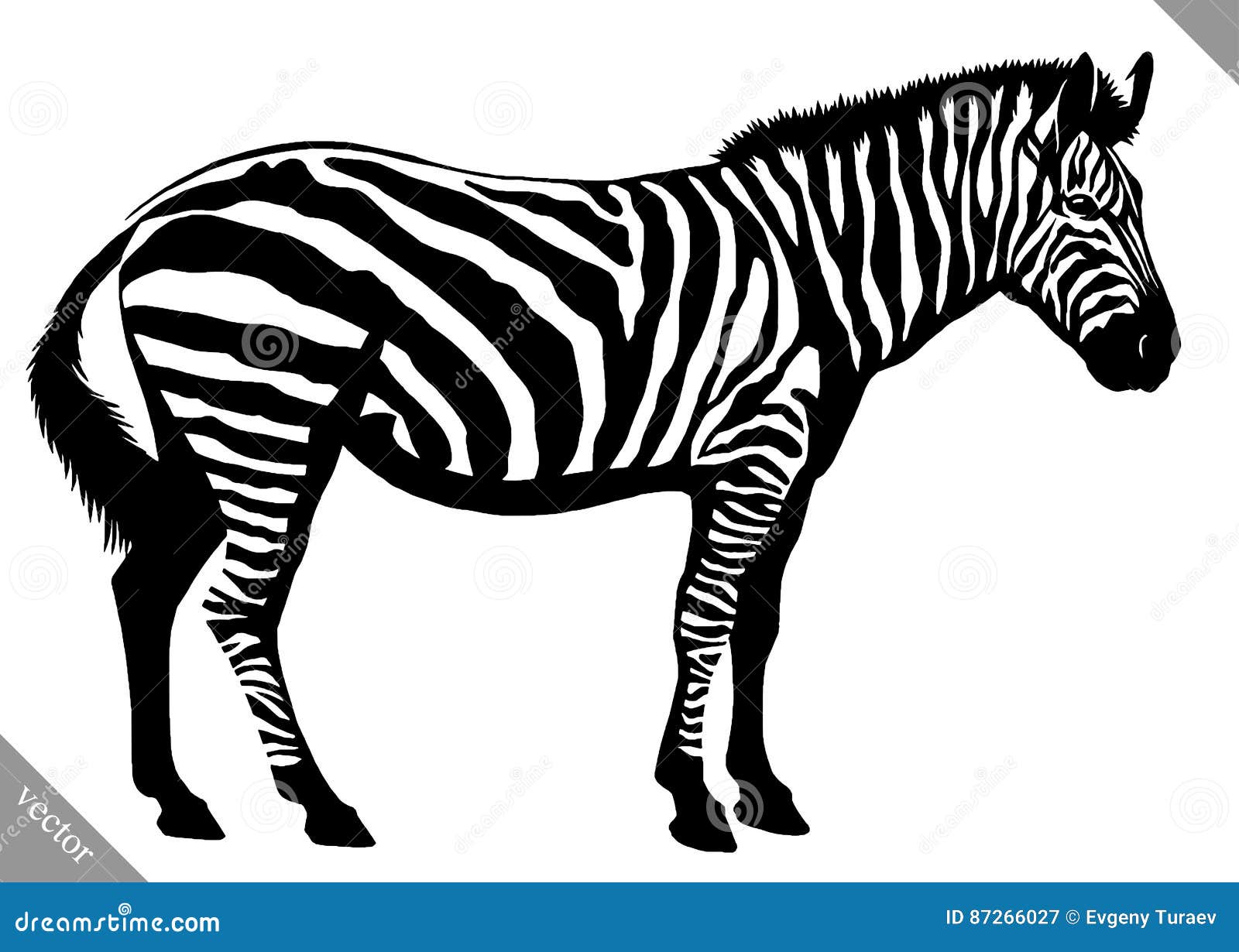 zebra clip art black and white