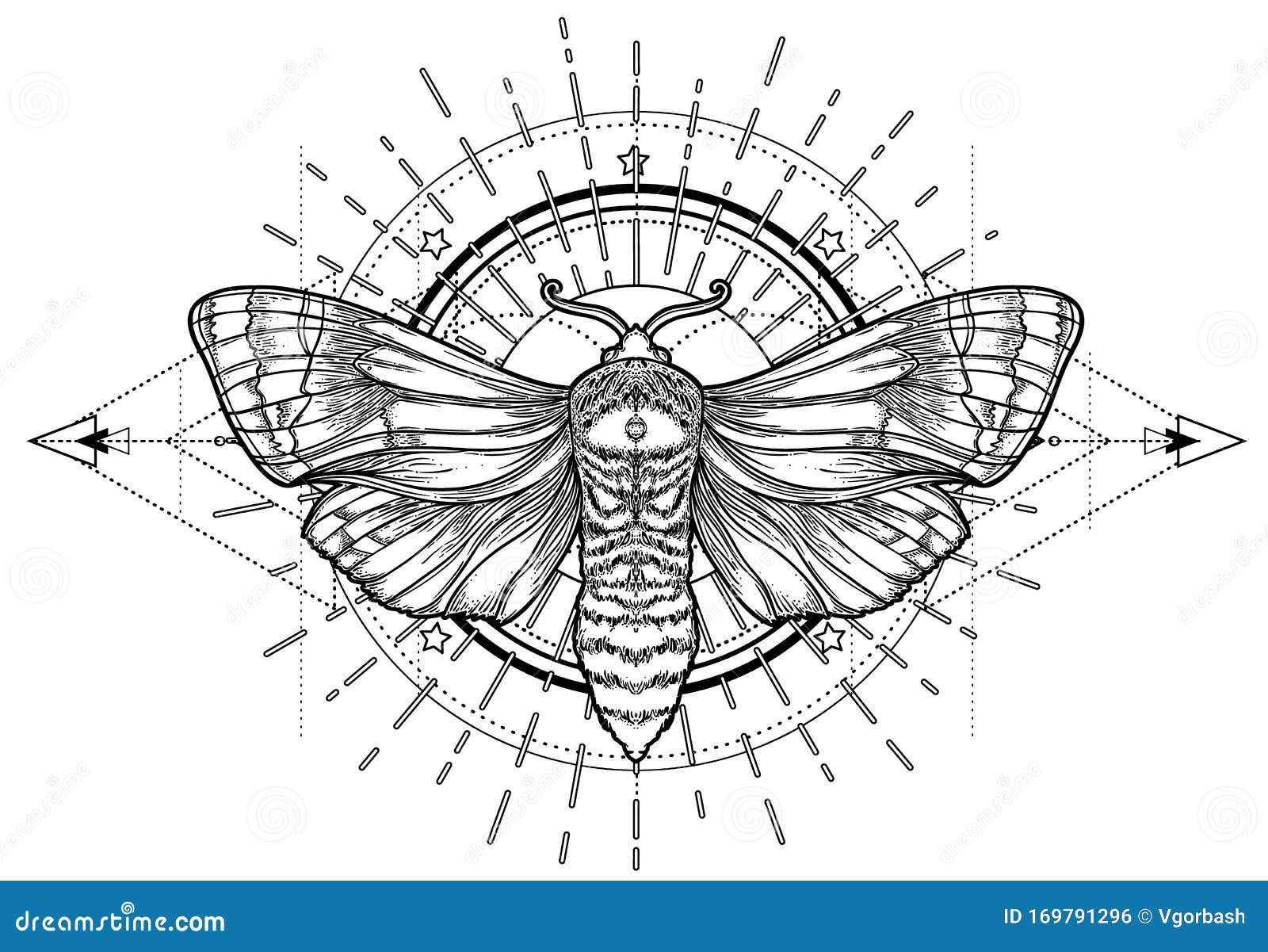 Butterfly Black And White png download  23141355  Free Transparent  Butterfly png Download  CleanPNG  KissPNG