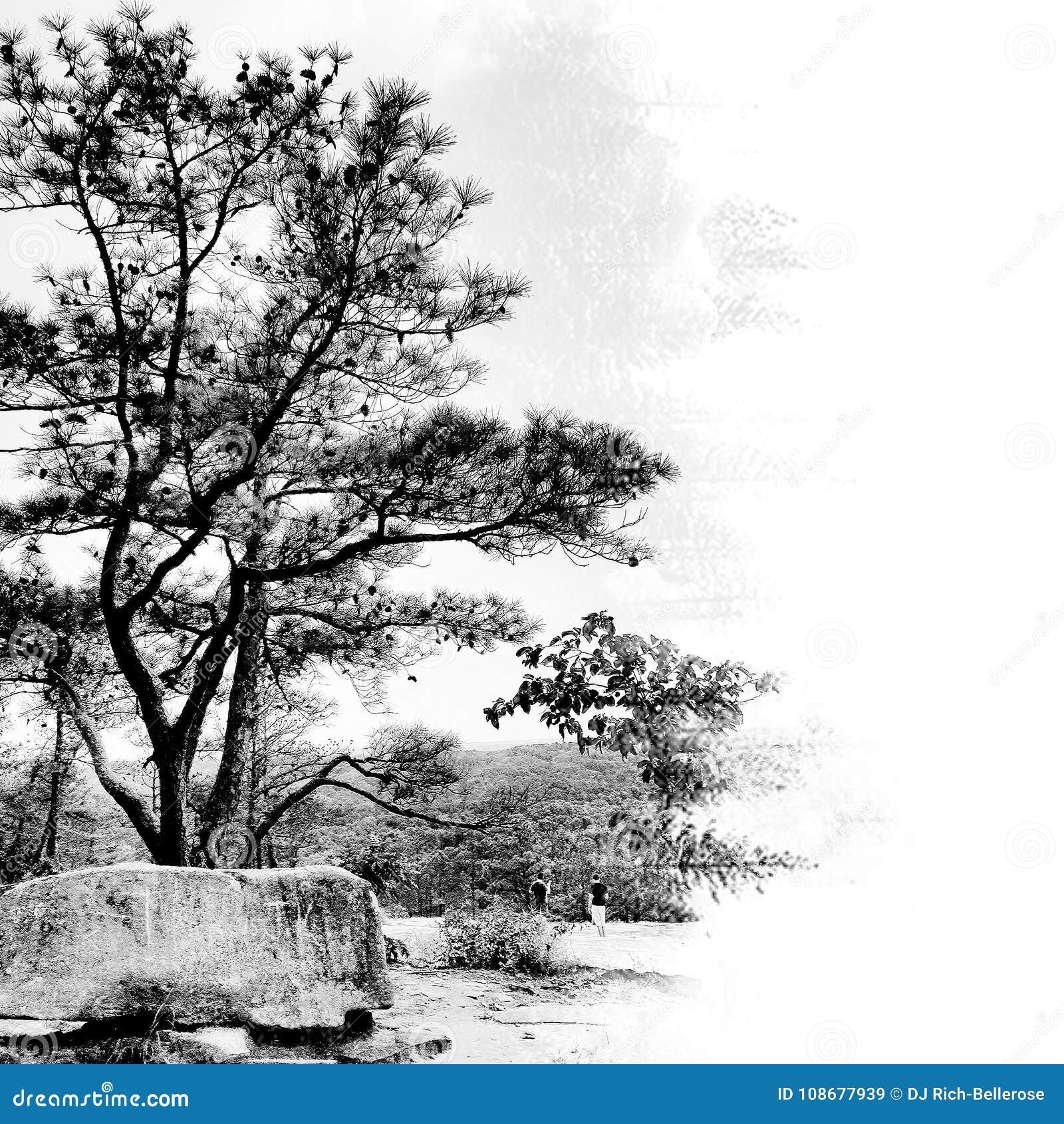 Black and White Mountain stock image. Image of trees 108677939