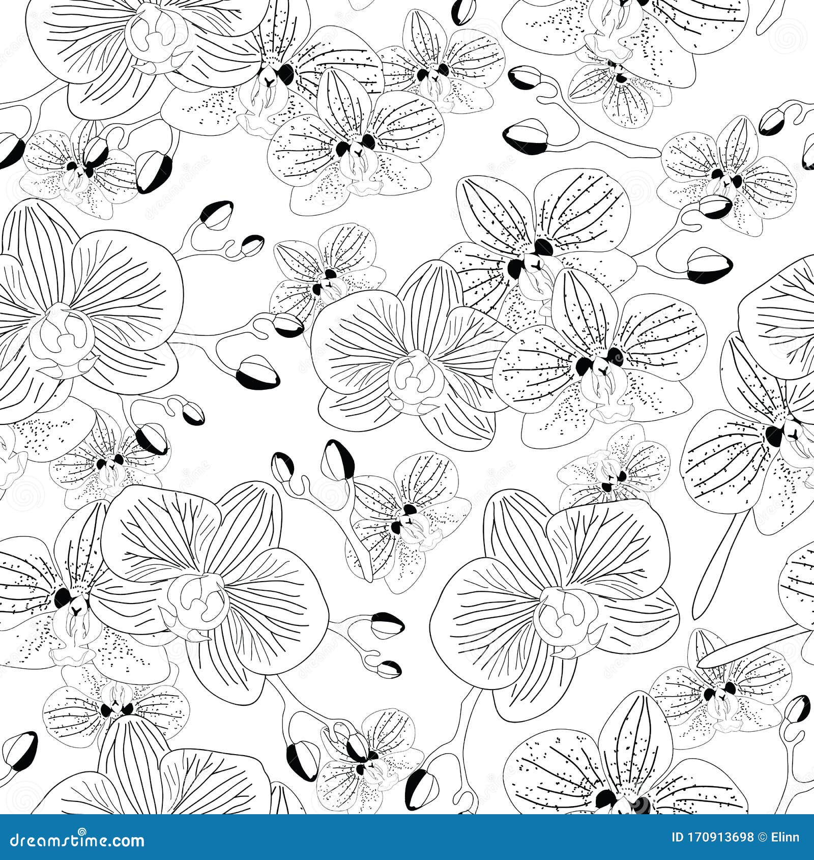 Black and White Orchid Flowers Seamless Pattern Stock Illustration