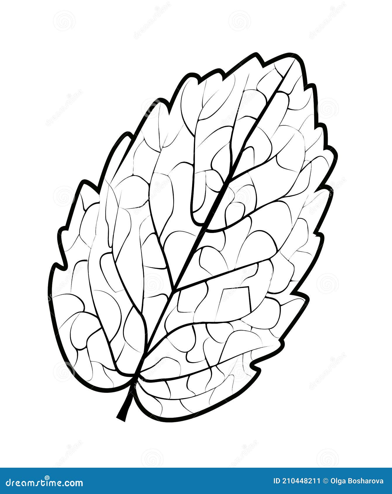 Black and White Outlinemint Stock Vector Illustration of medicinal