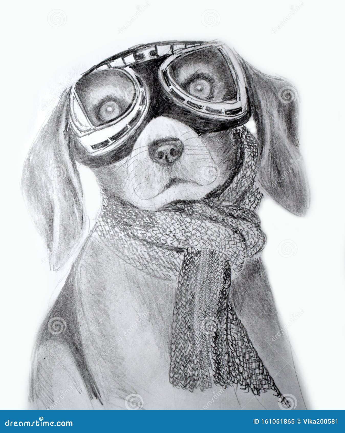 dog pencil sketch