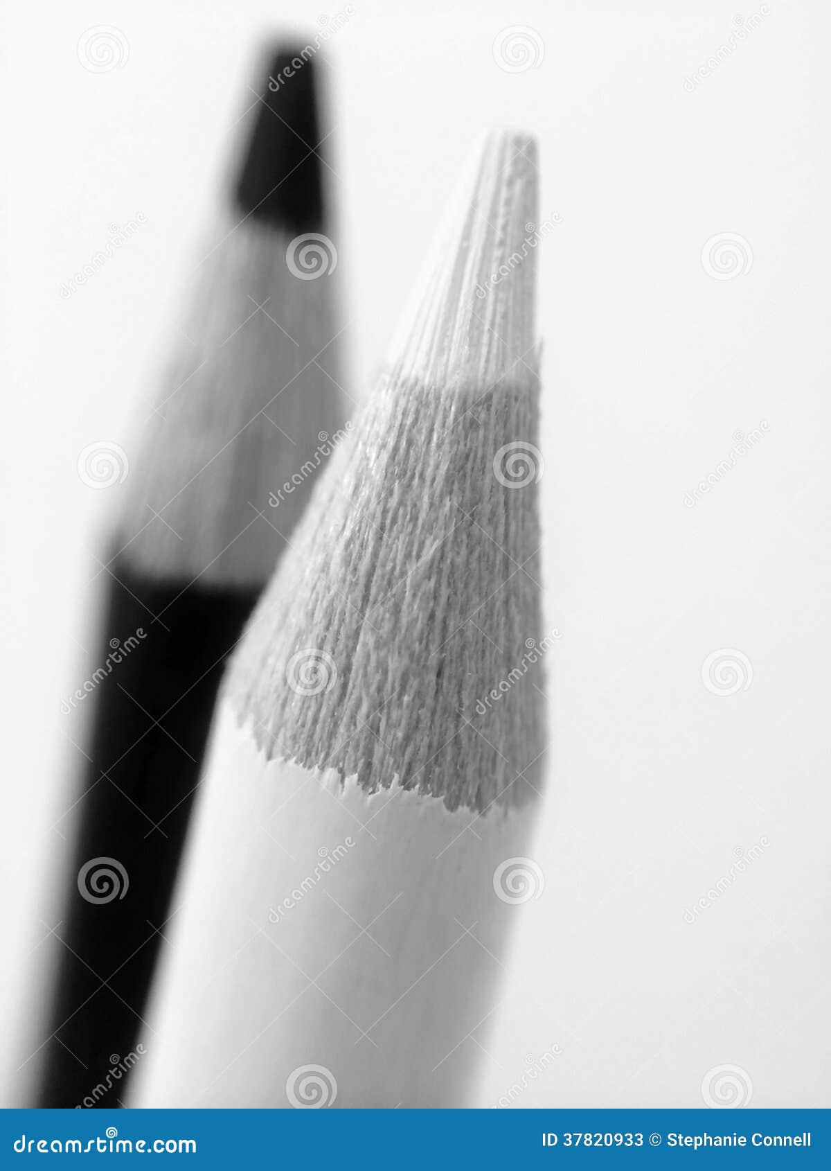 Black and White Pencils stock image. Image of school 37820933