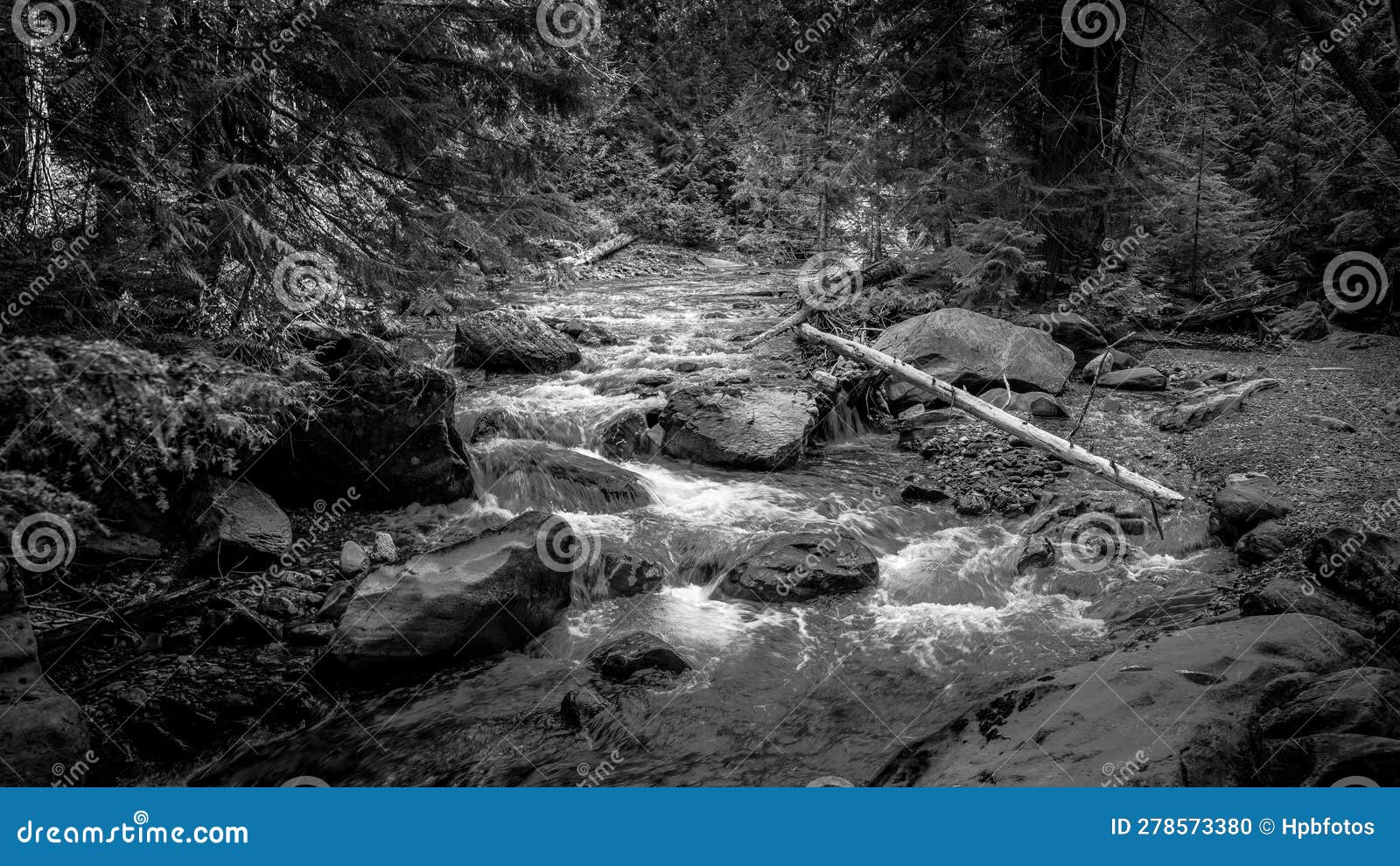 black and white photo of avalance creek
