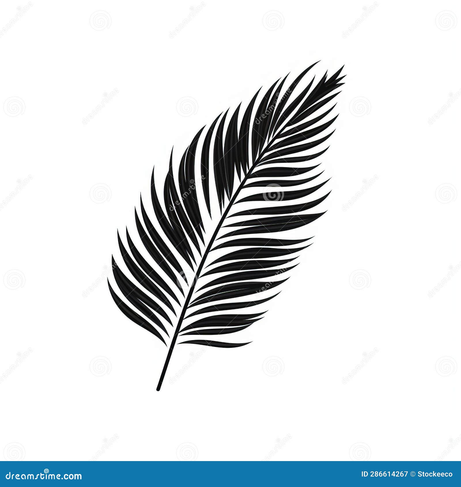 black and white palm leaf  