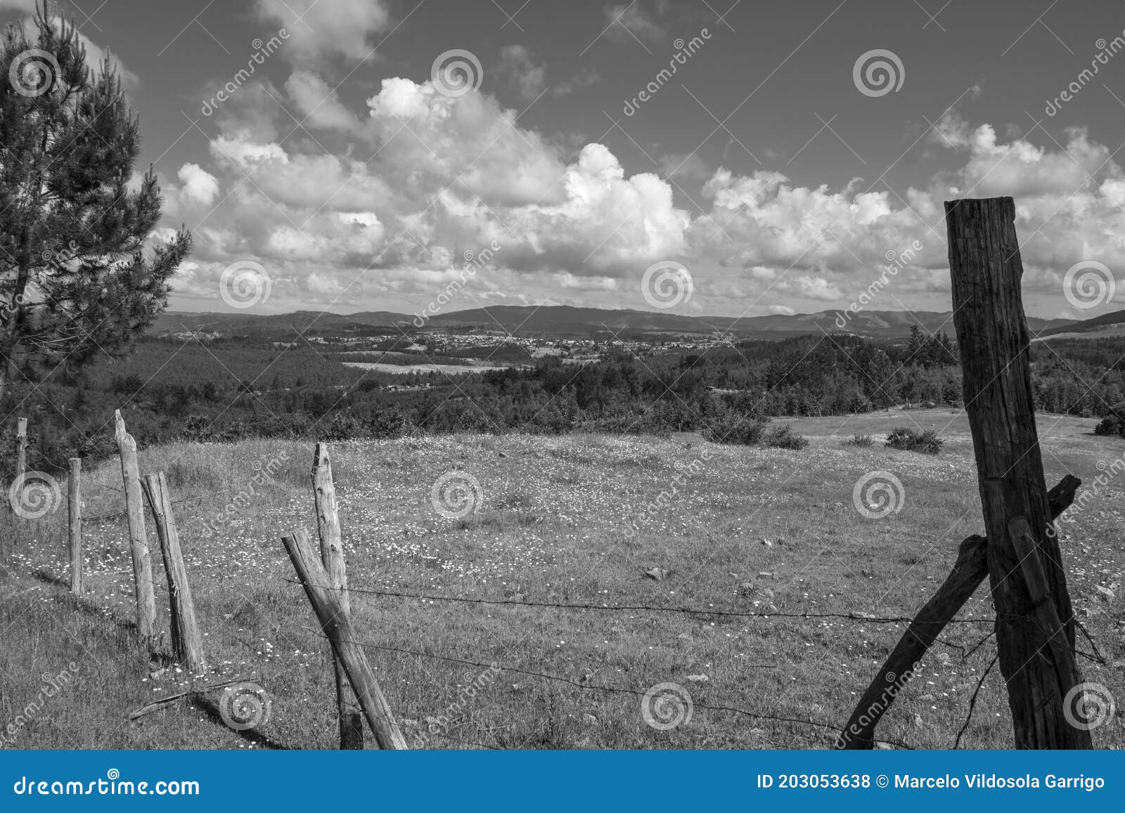 black and white photography of the meadow in the valley
