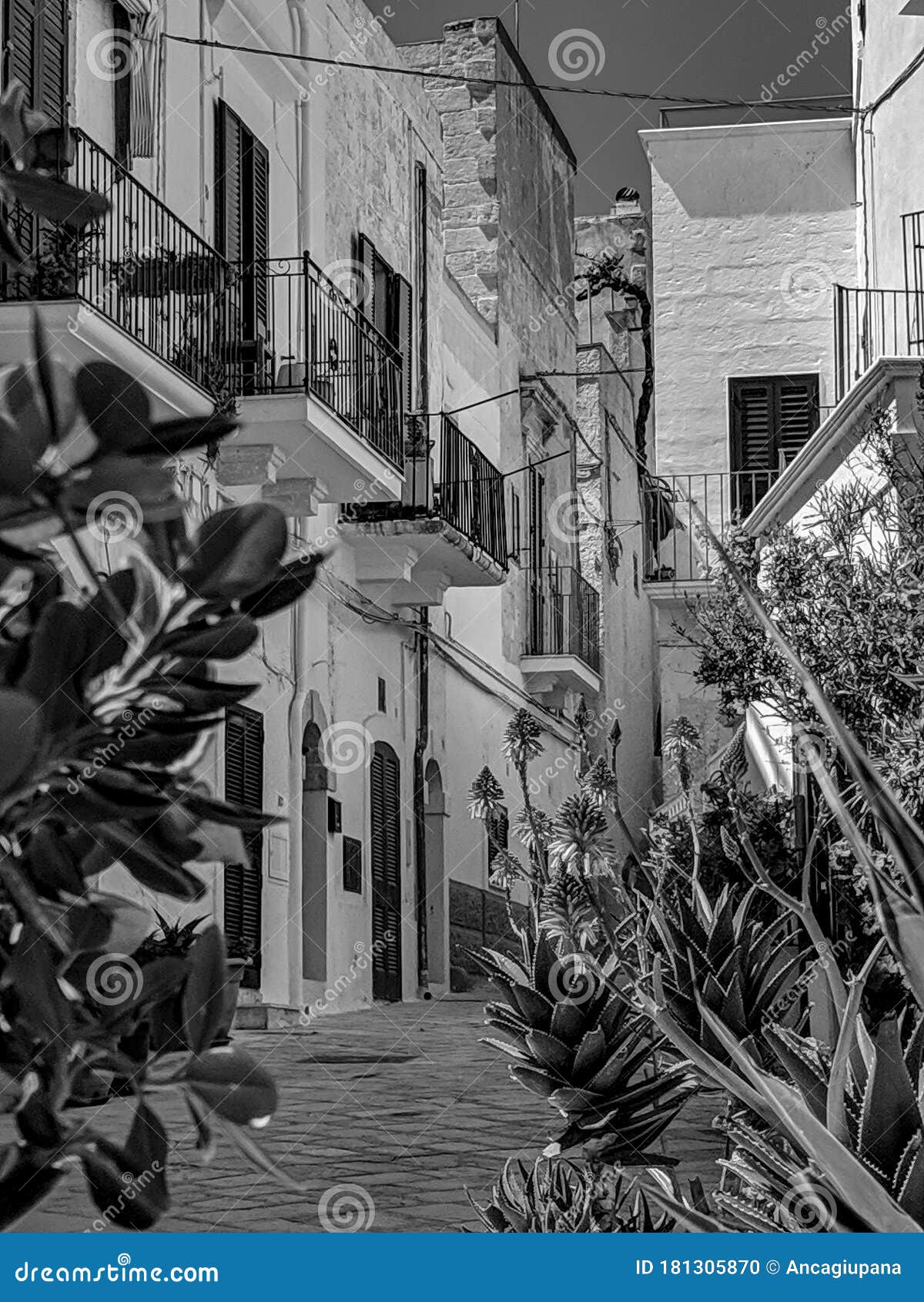 black and white photography of a narrow alley in polignano a mare in the puglia region of italy, lined with plants and flowers