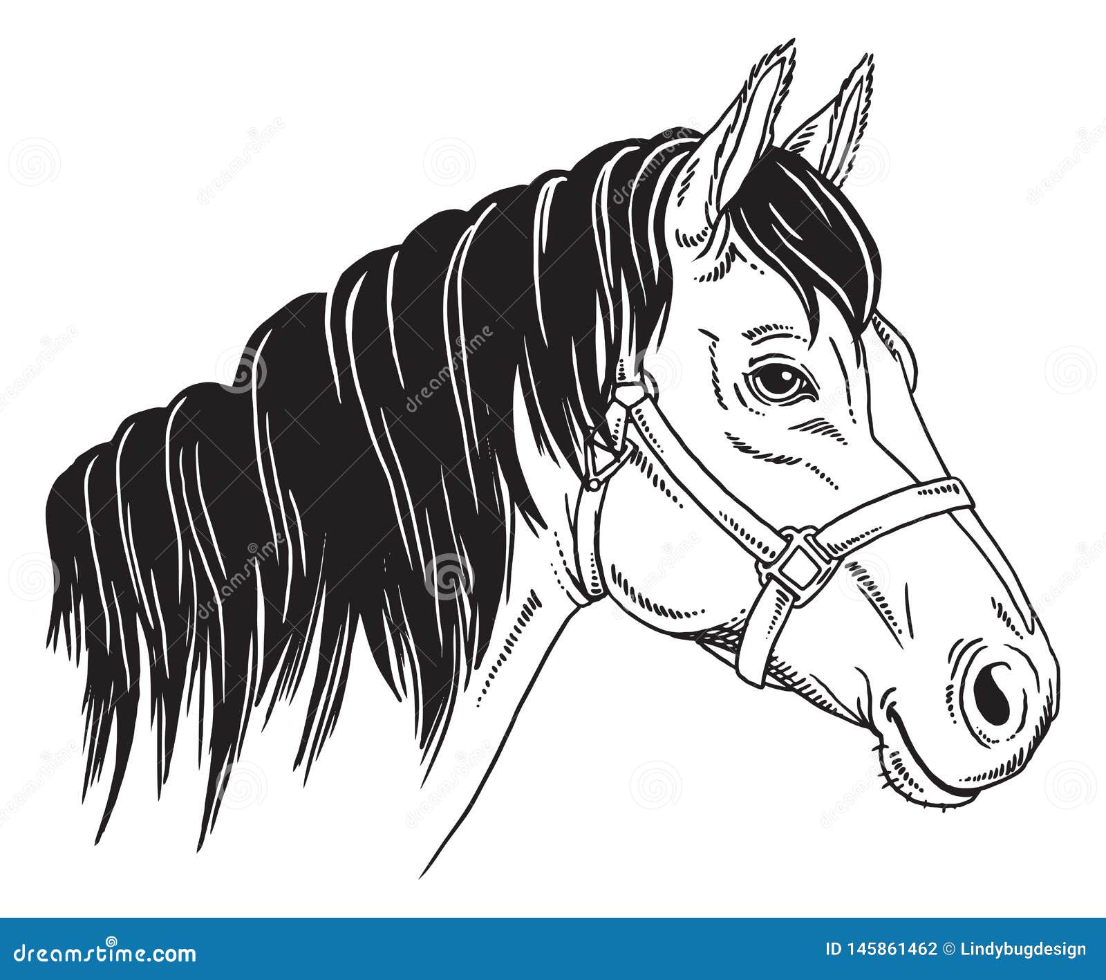 Black and White Portrait of a Horse. Stock Vector - Illustration of