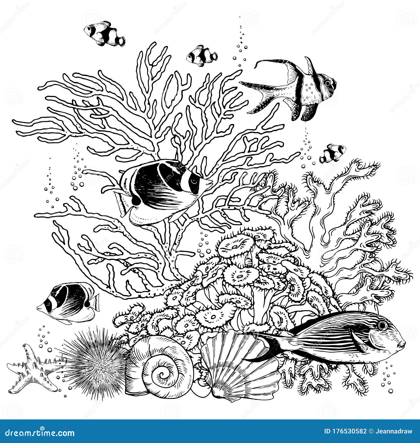 Black and White Reef Scenery with Corals, Shells and Tropical Fishes ...