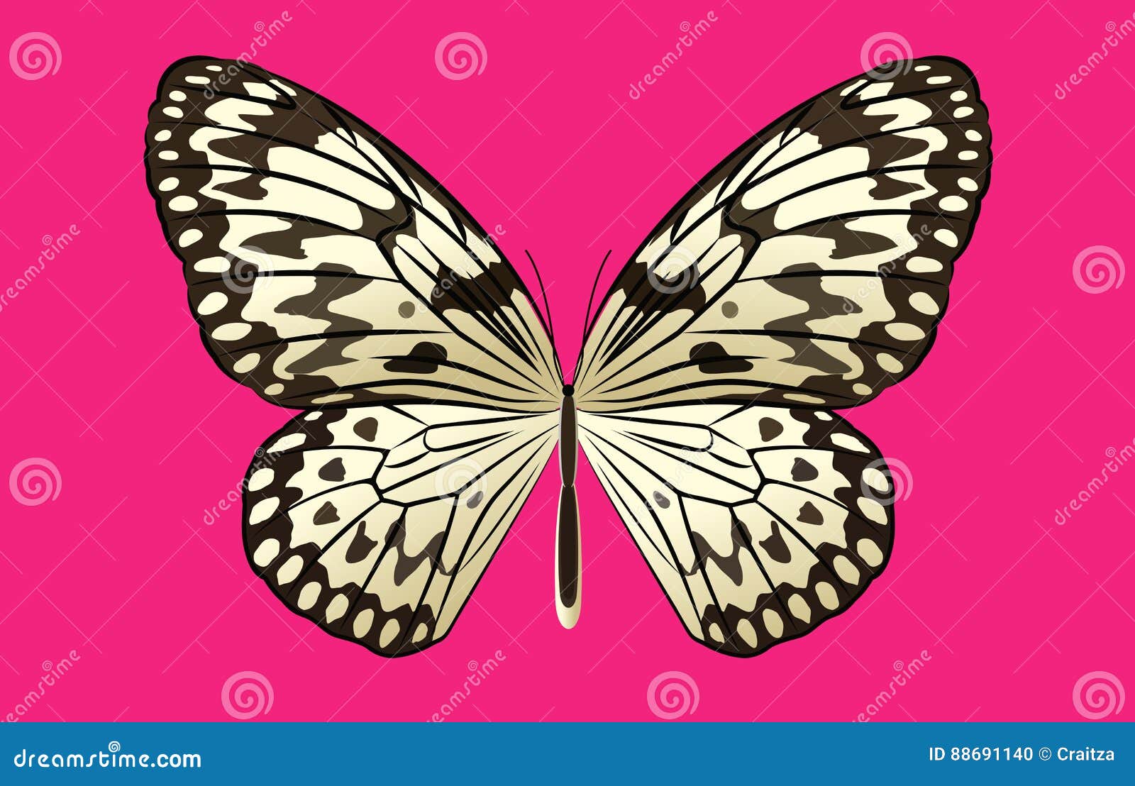 Download Black And White Rice Butterfly Vector On Pink Background ...
