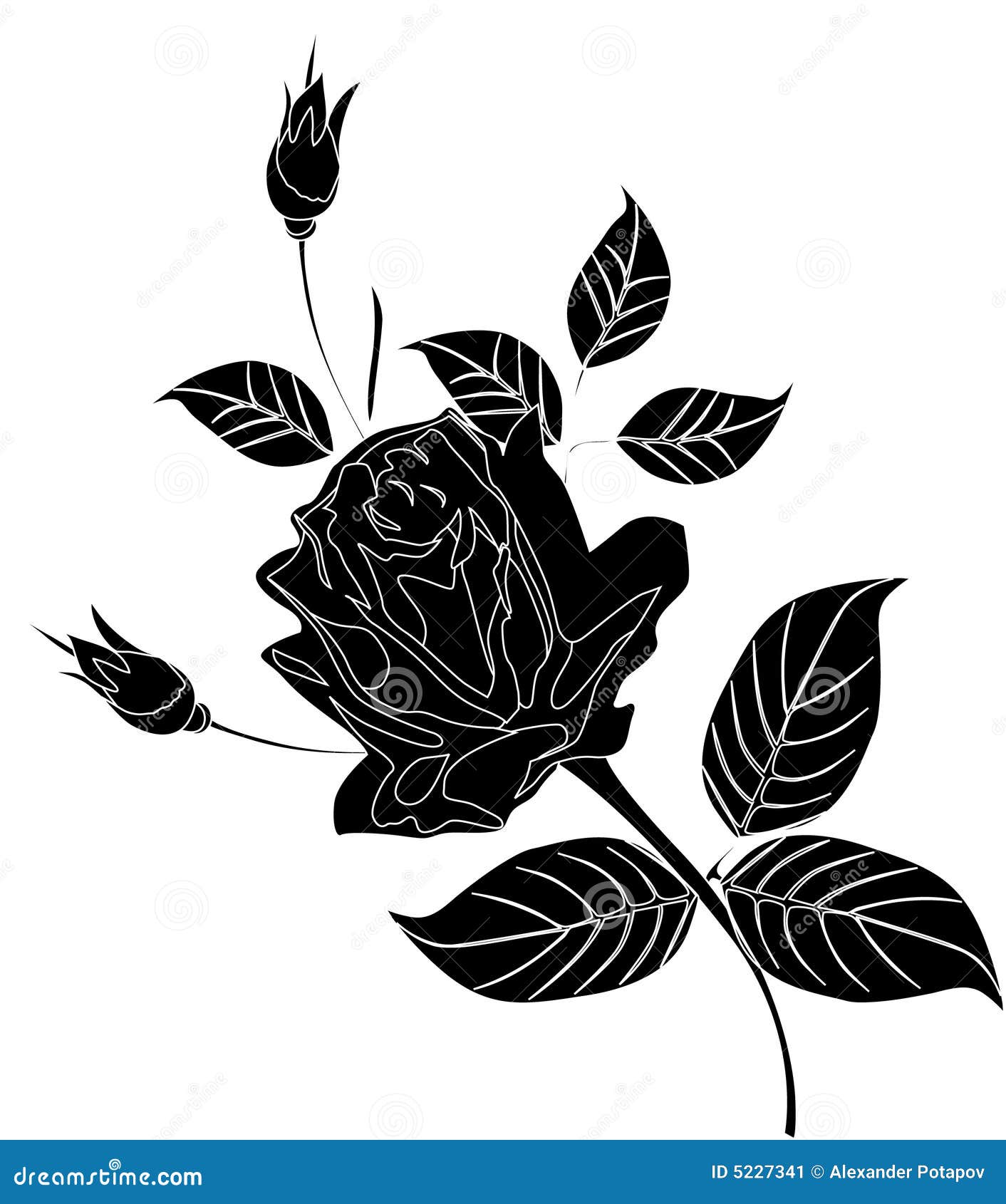 Black and White Rose Flower Stock Illustration - Illustration of ...