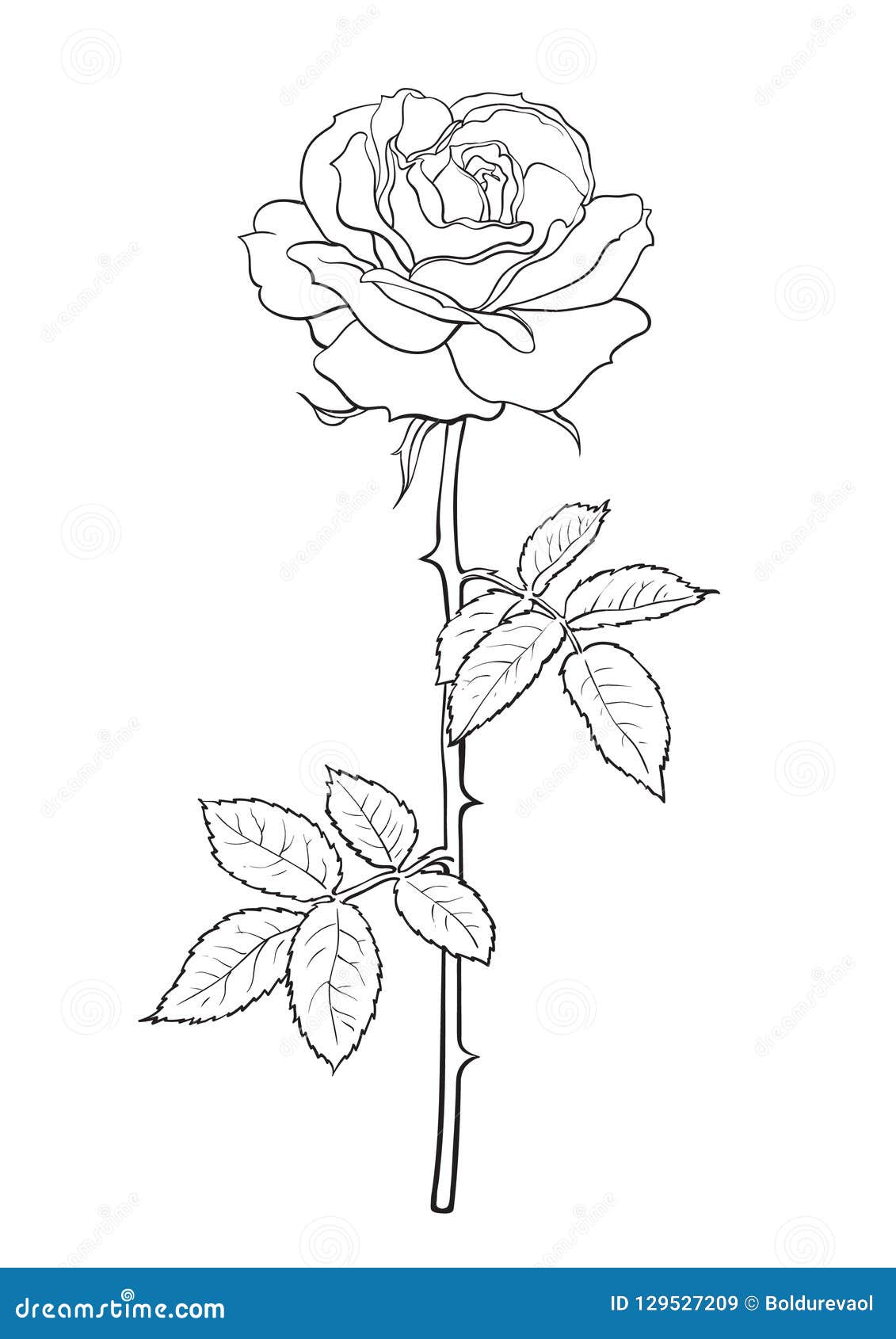 black and white rose flower with leaves and stem. decorative  for tattoo, greeting card, wedding invitation. hand