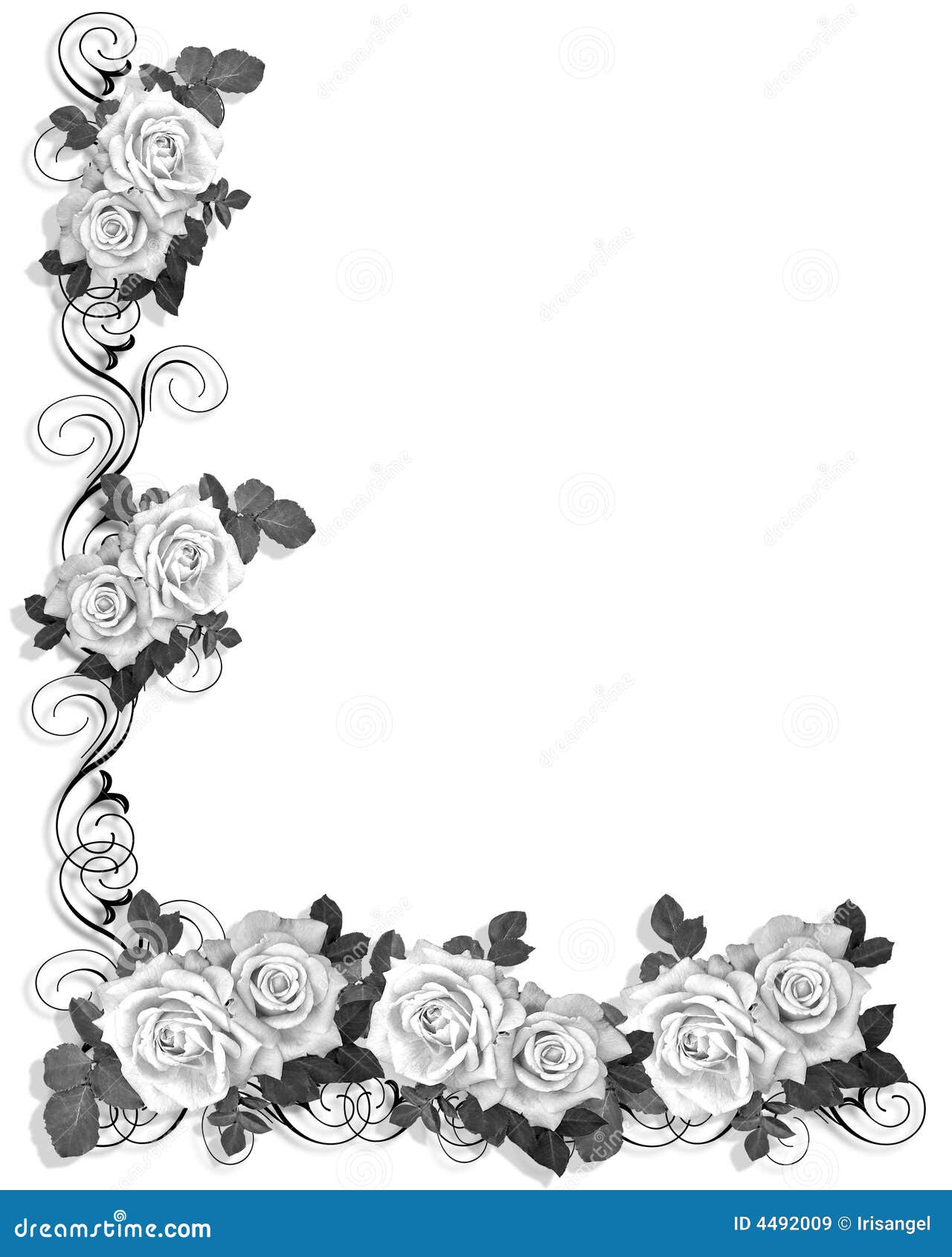 Black and White Roses Border Design Stock Illustration ...