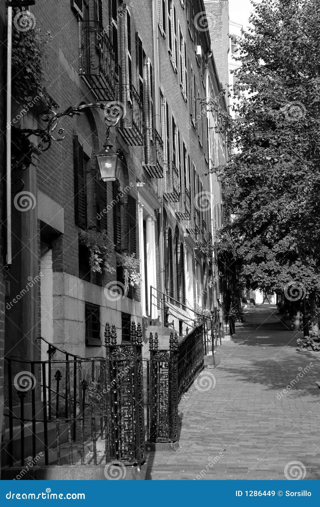 black and white row houses beacon hill boston